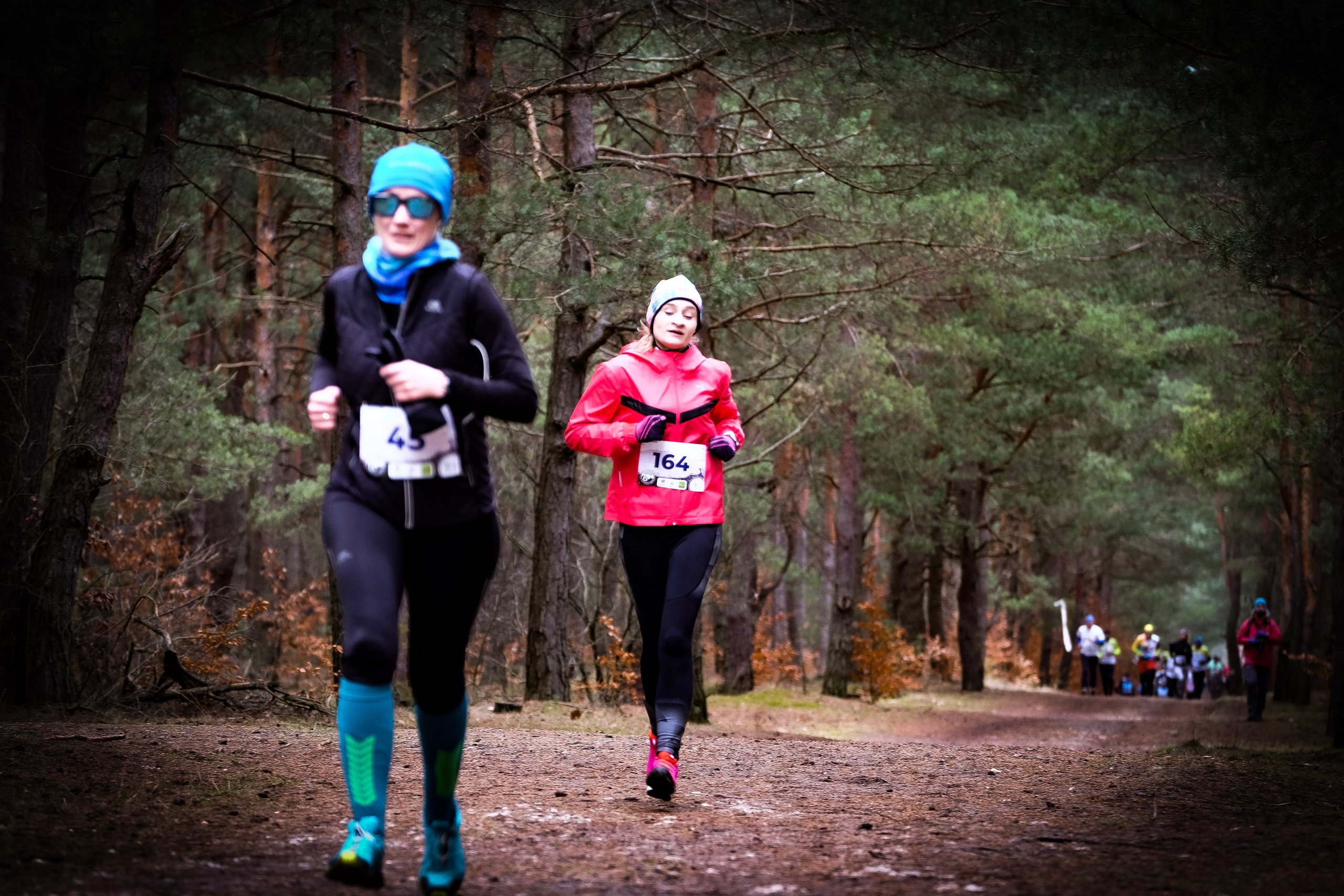 V cross wokoł Małego Giewontu. Main