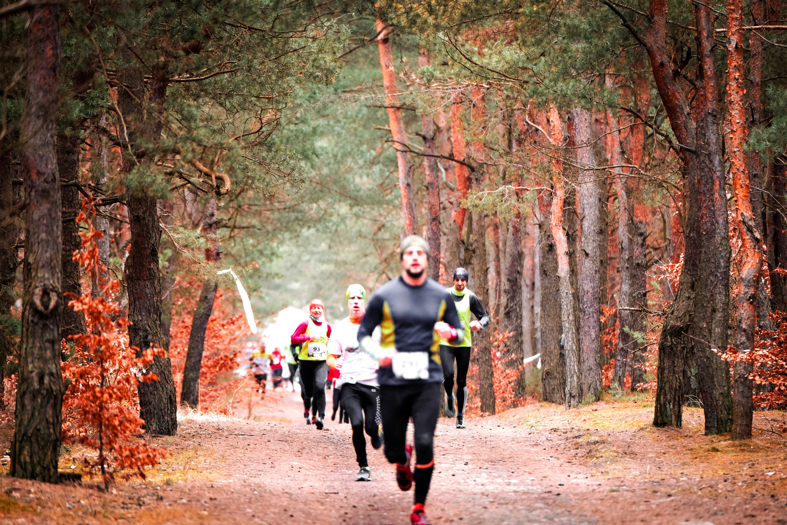 V cross wokoł Małego Giewontu. Main