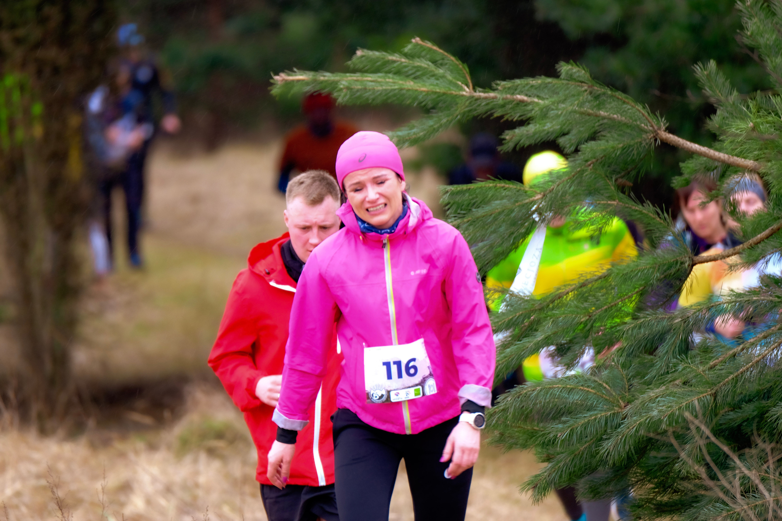 V cross wokoł Małego Giewontu. Main