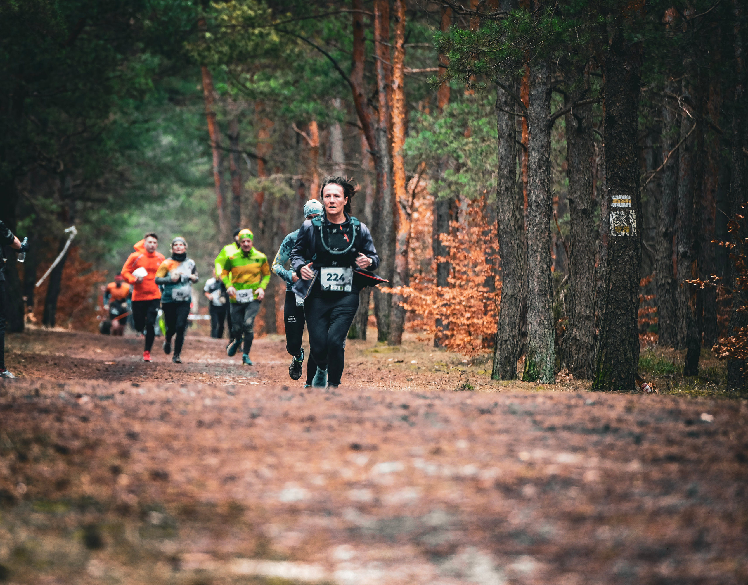 V cross wokoł Małego Giewontu. Main