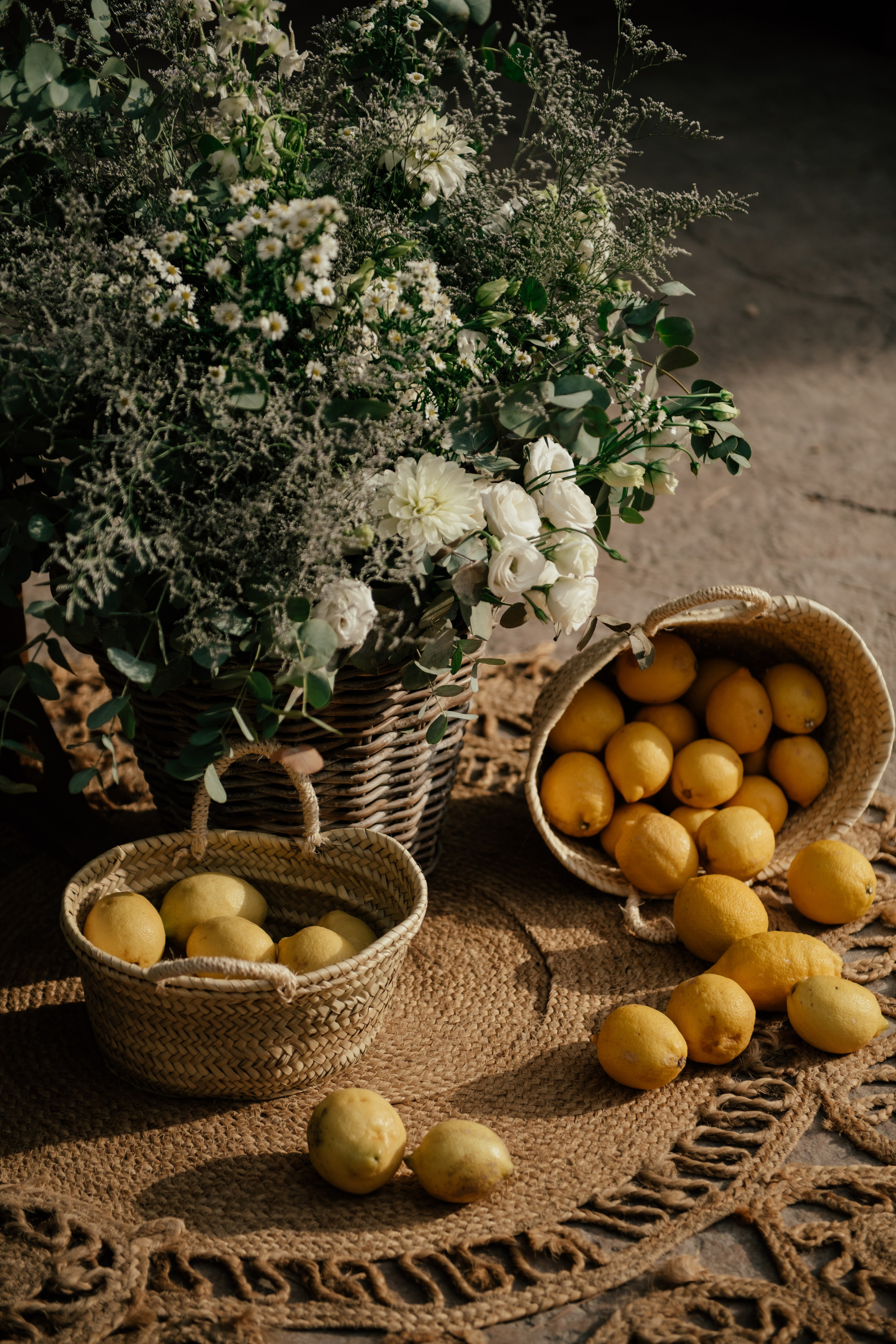 Alicia & Marc (Finca Marques de Montemolar)