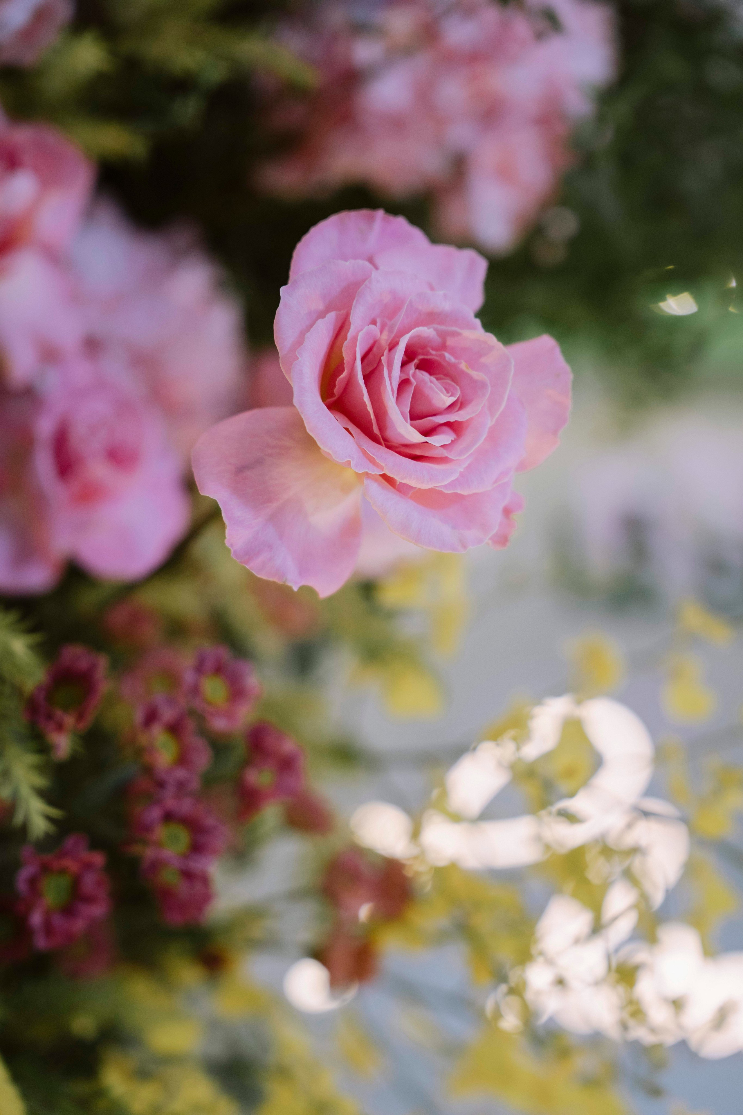 VINH & ANH. WEDDING PHOTOGRAPHER IN VIETNAM