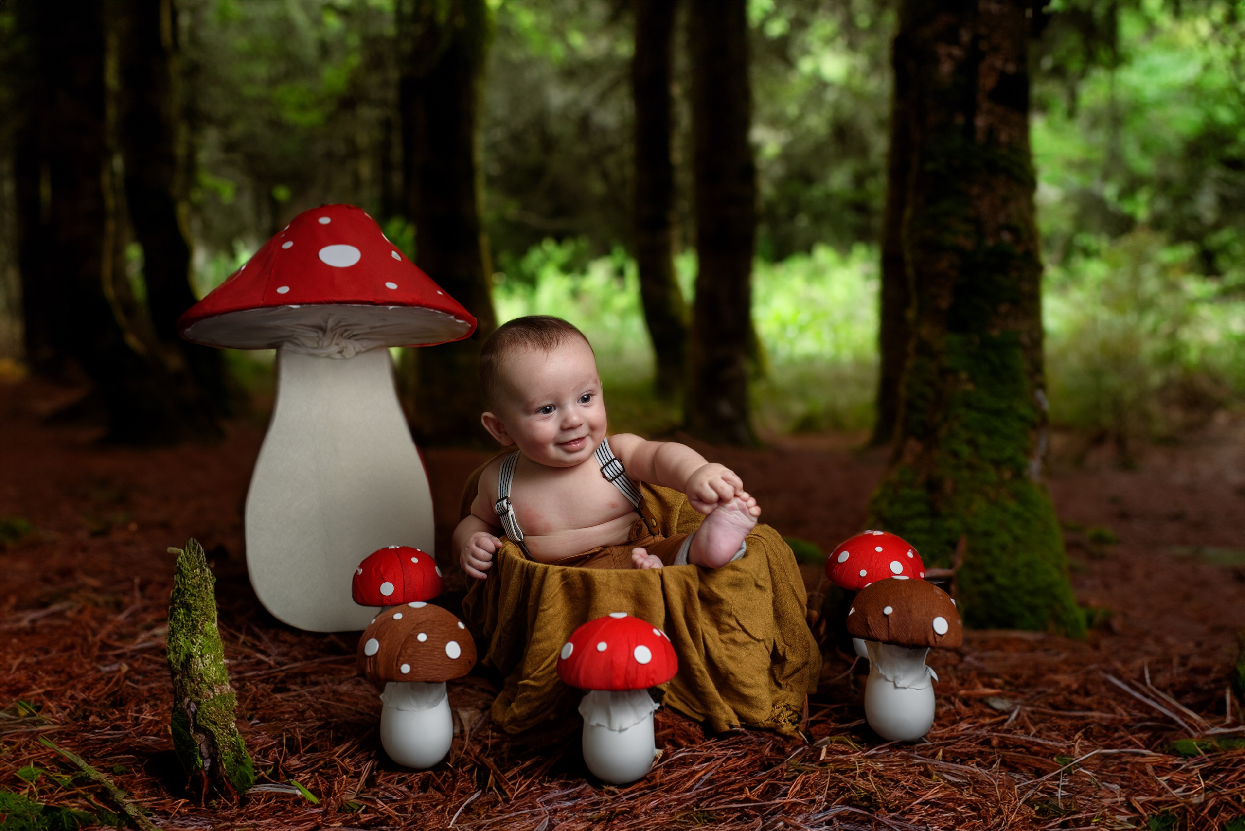 Pasquale. Fotografo di famiglia