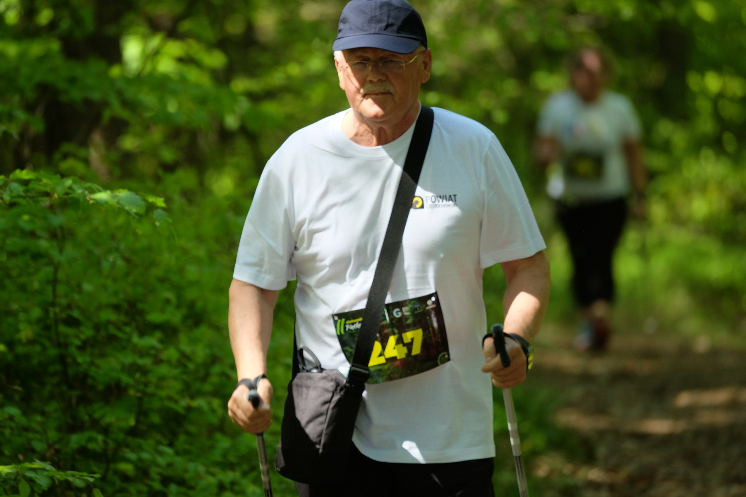 Aleksandryjska Piątka po lesie. Main