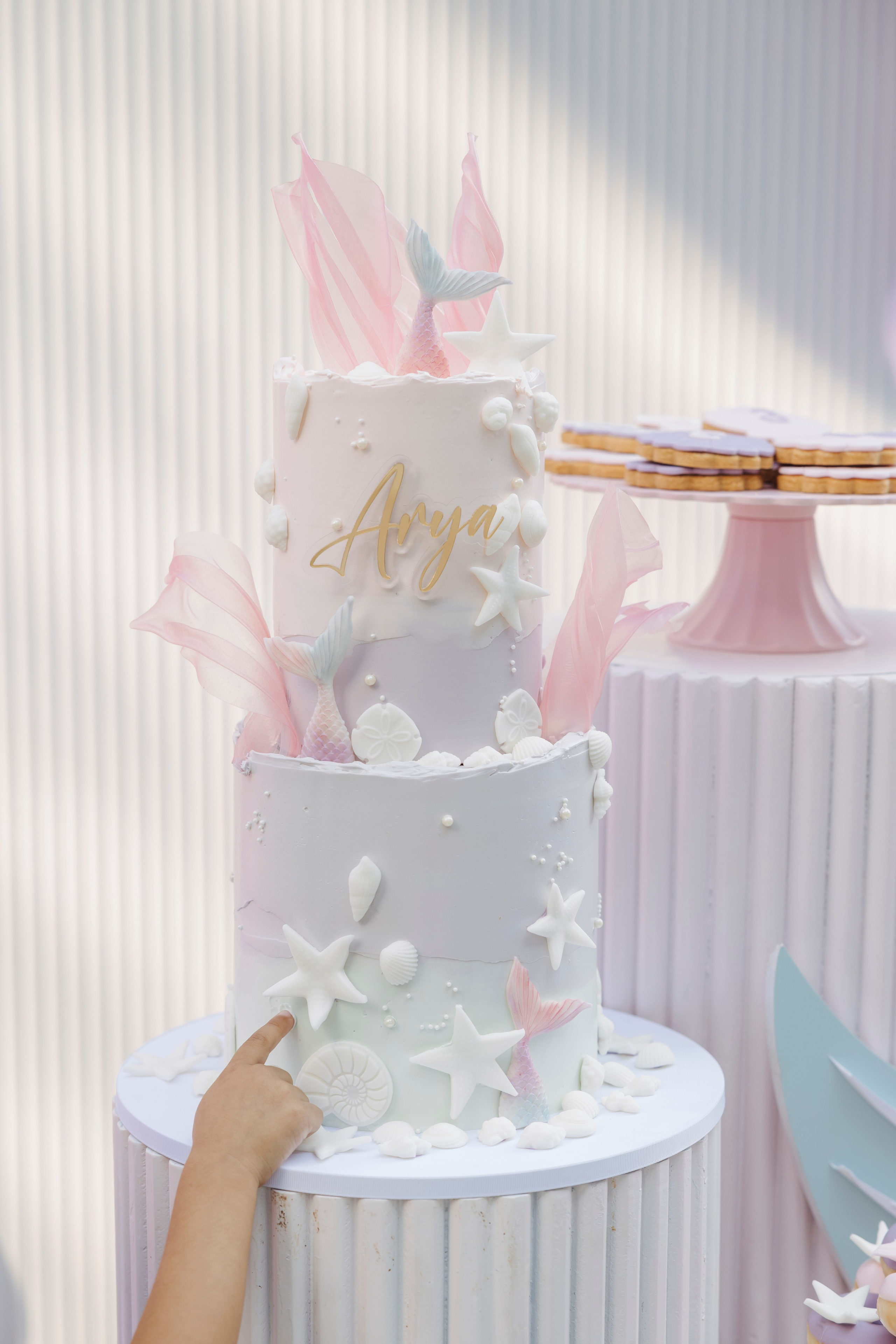 Arya’s 3rd Birthday