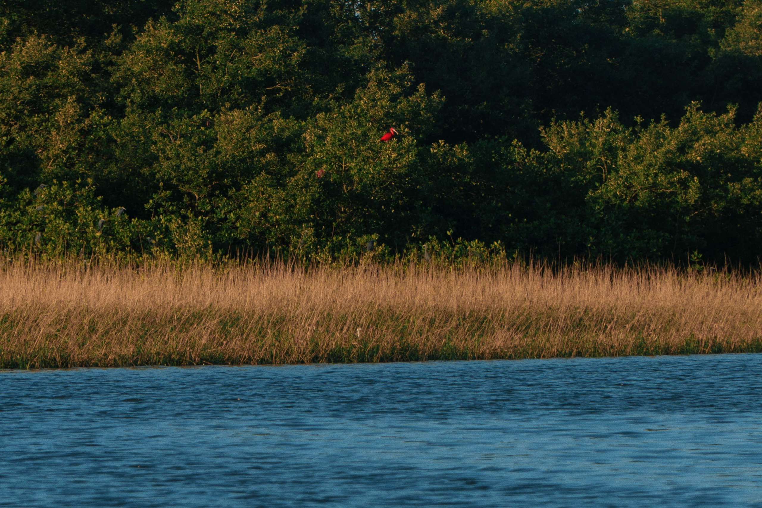 Território. Fotografia Autoral