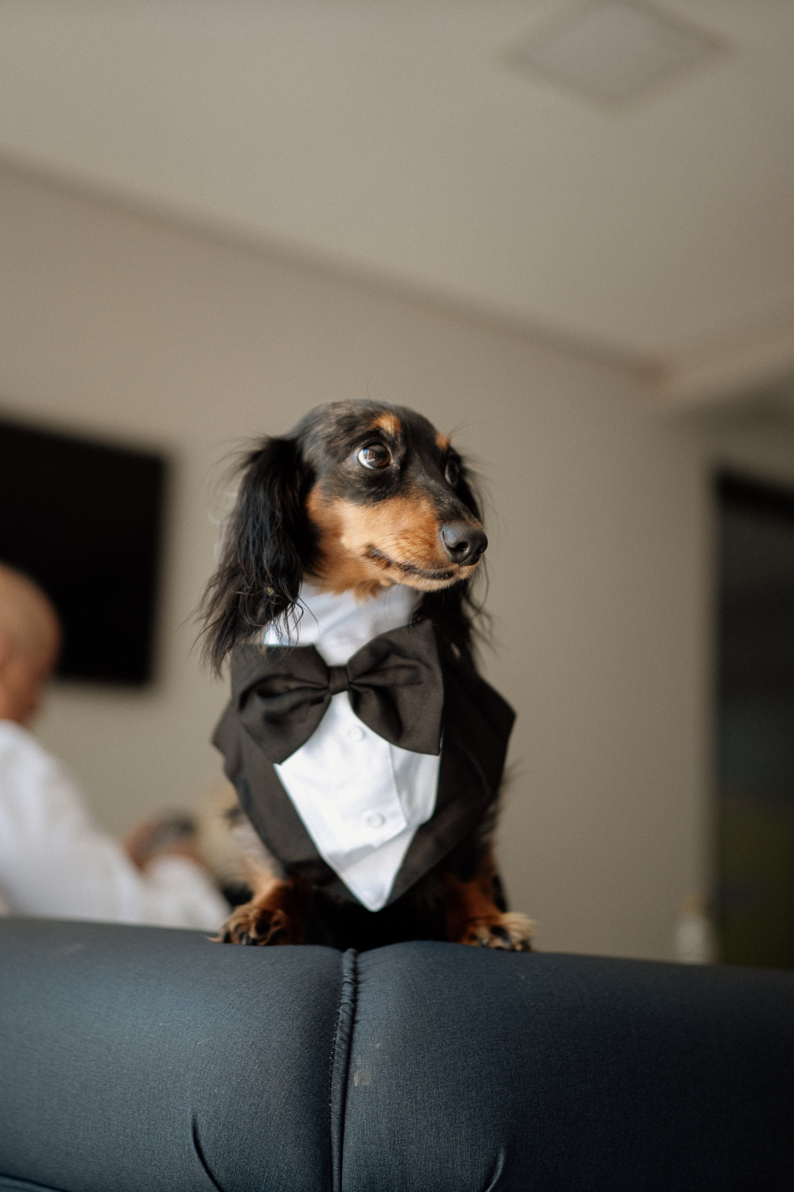 Amanda & Gustavo | Casamento. Congiu Wedding