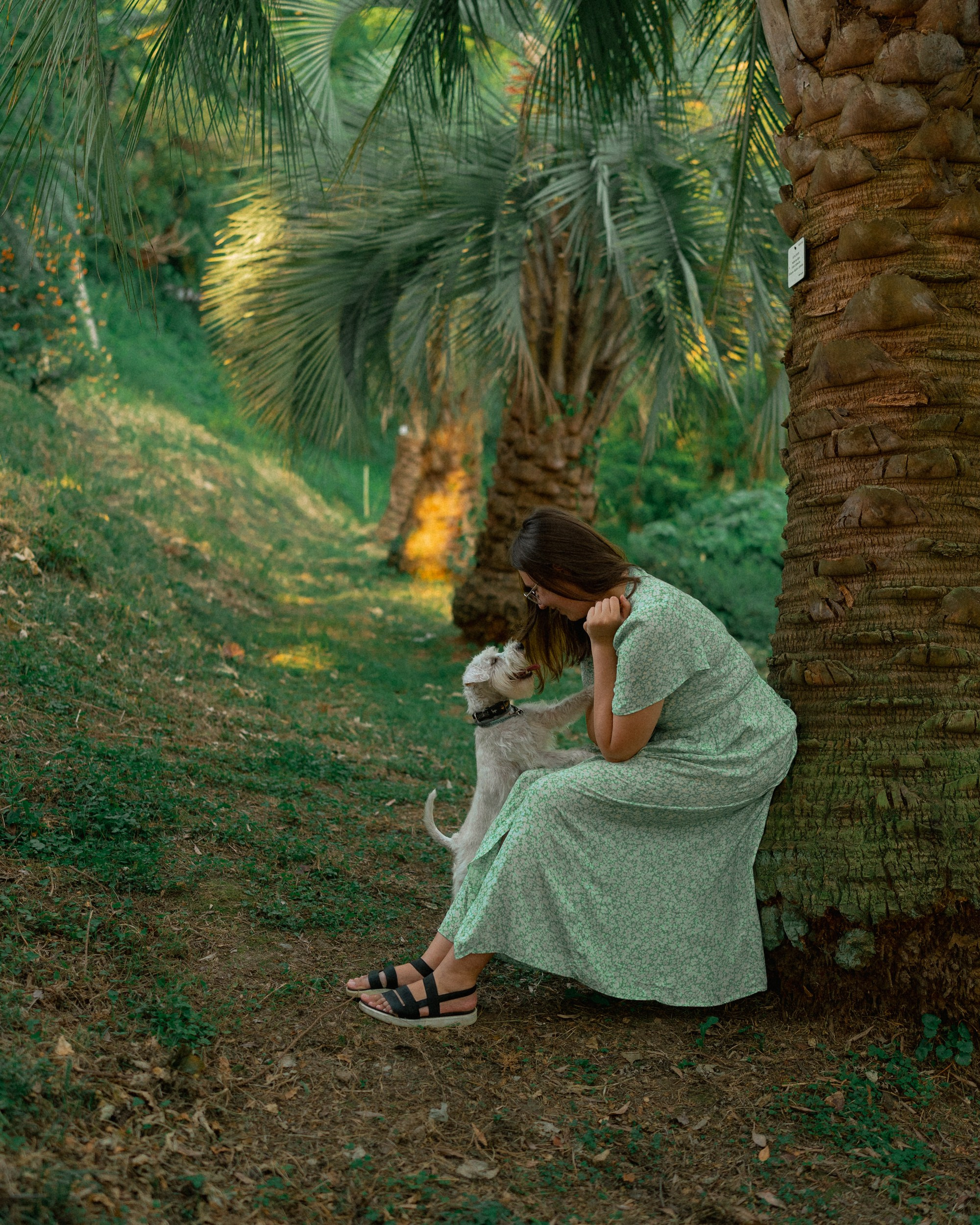 Ольга и Халва. Индивидуальный и свадебный фотограф в Батуми Валерия Азаренко