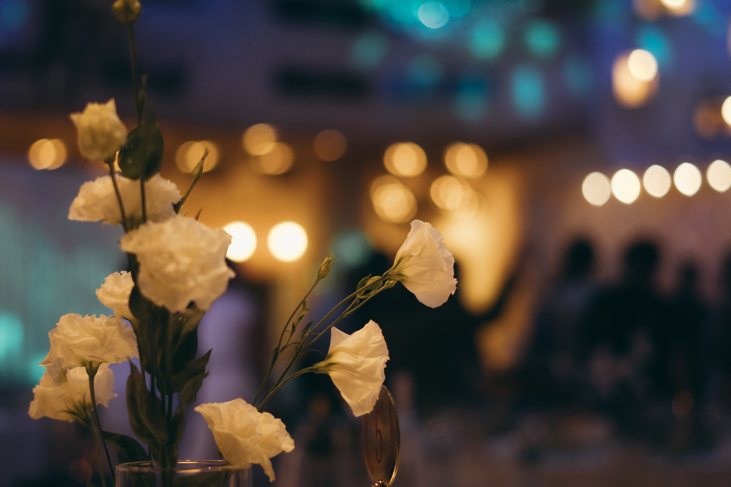 Диана | Кыз Узатуу