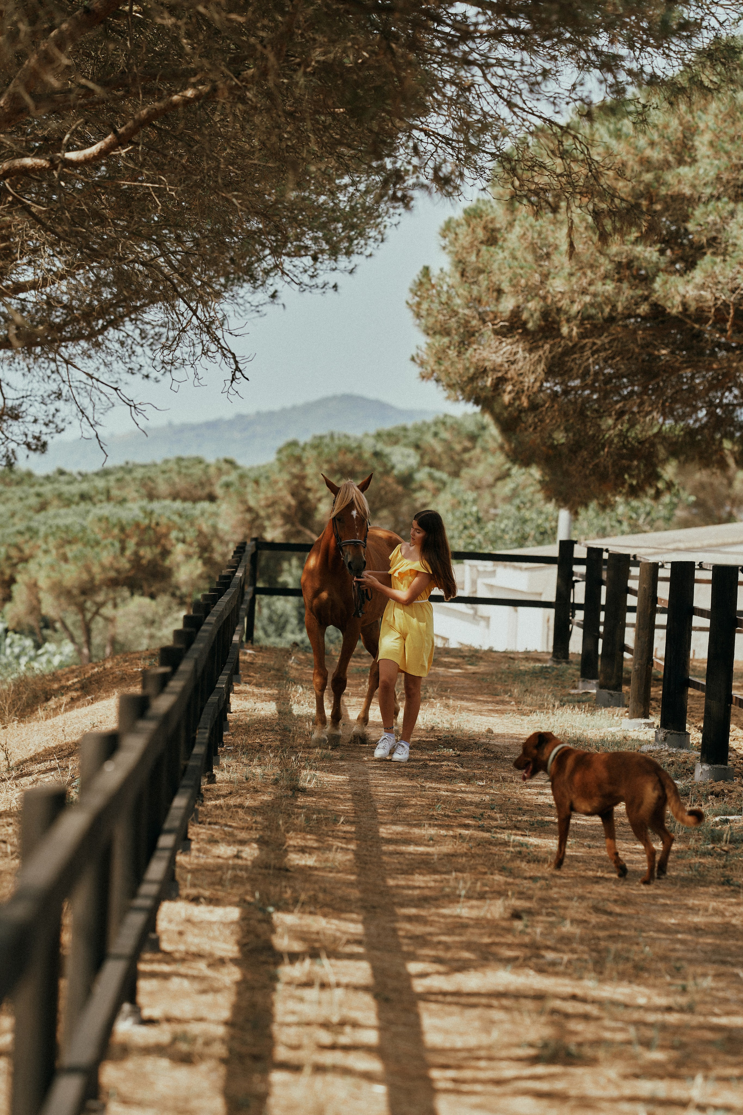 Настя. Девочка с сильным характером. Фотограф в Барселоне Жанна Захарченко