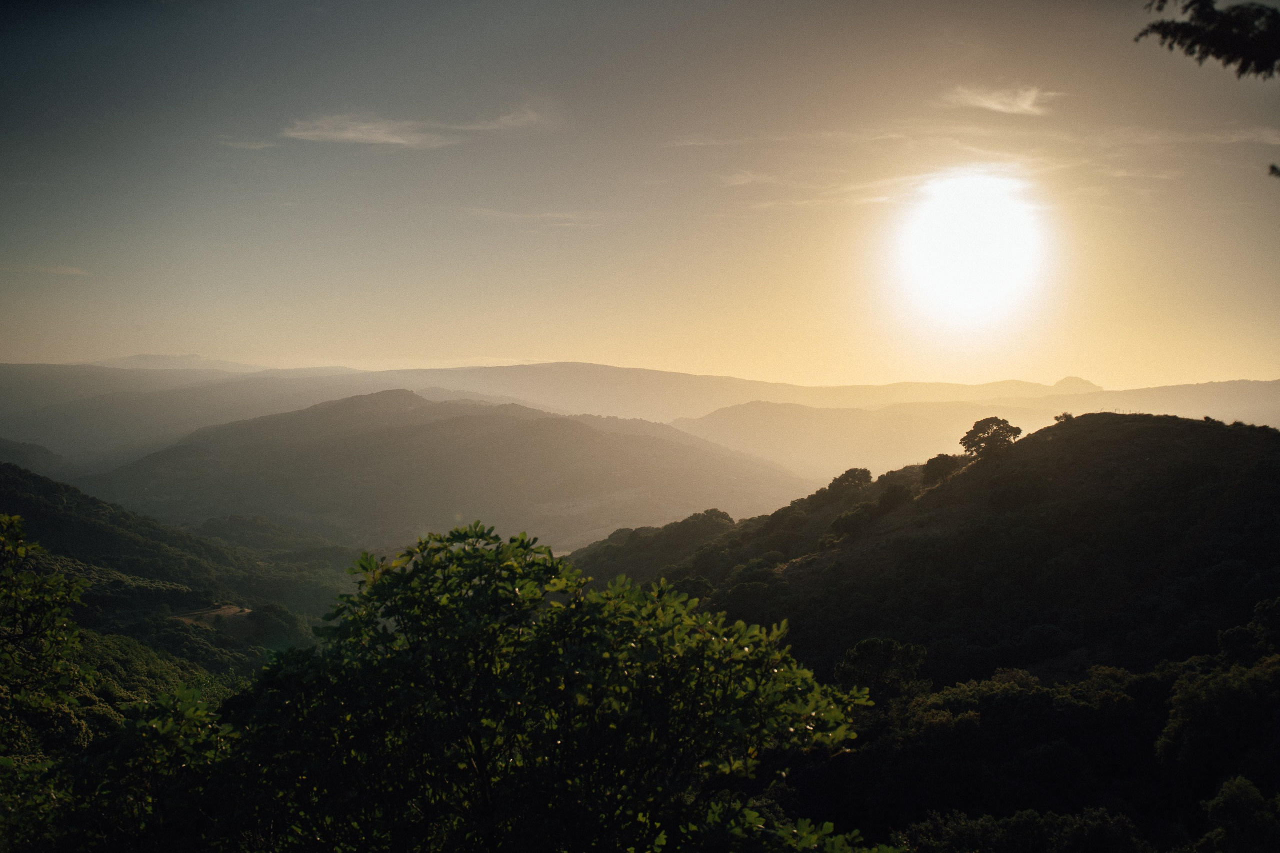 Filmmaker, Photographer & AI Visual Artist in Costa del Sol — Alexandru Avram
