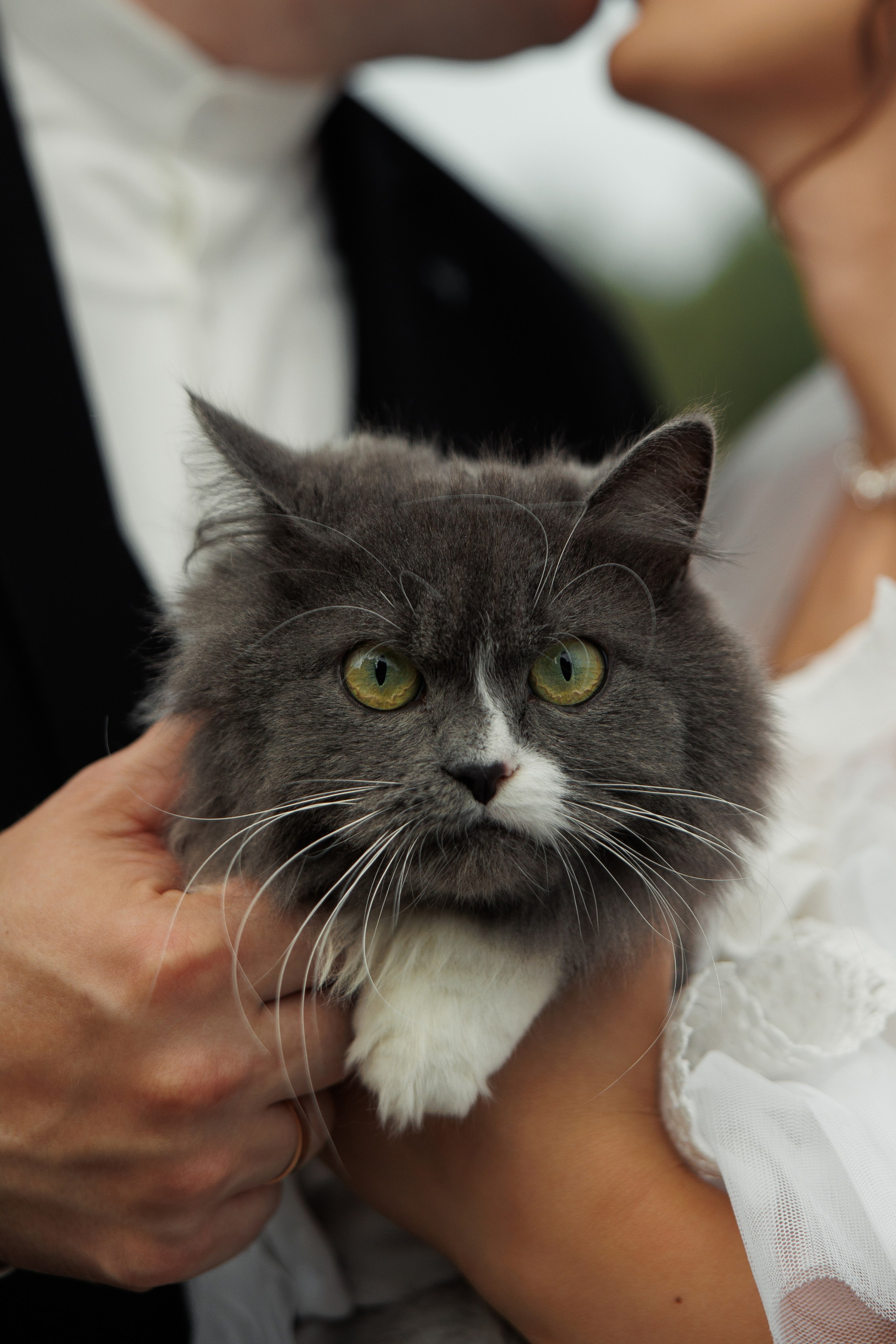 Inna Oleksandr. Ірина Терещук