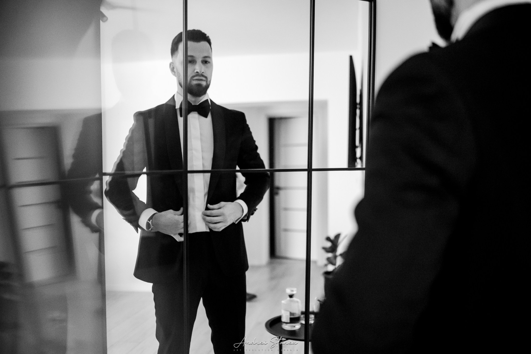 Portofolio. Andrei Stanea