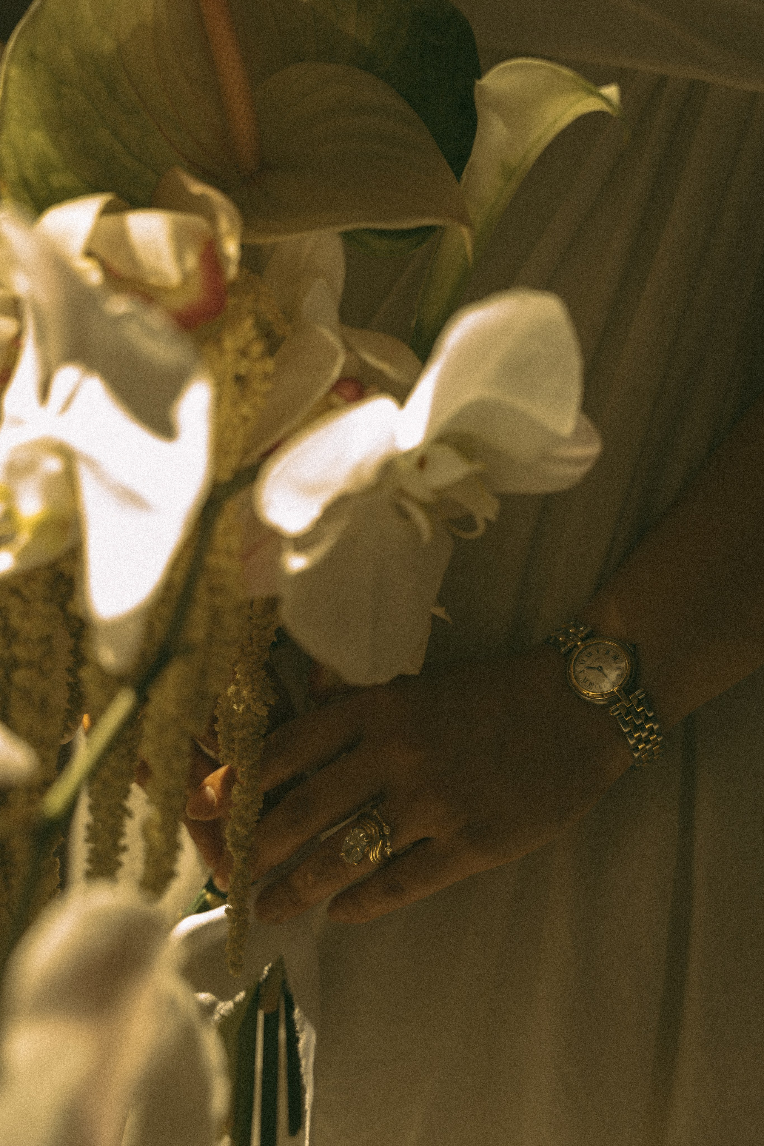 City Hall. San Francisco Wedding & Elopement Photographeк | photography_of.nadia