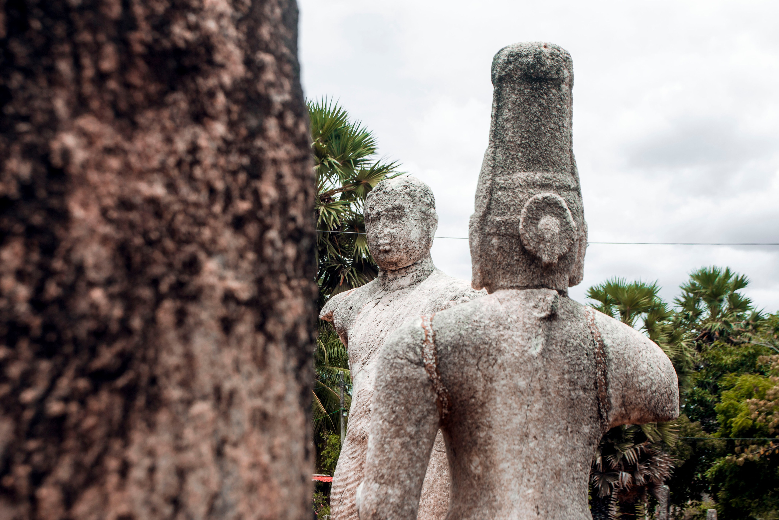 Sri Lanka. Art Photographer