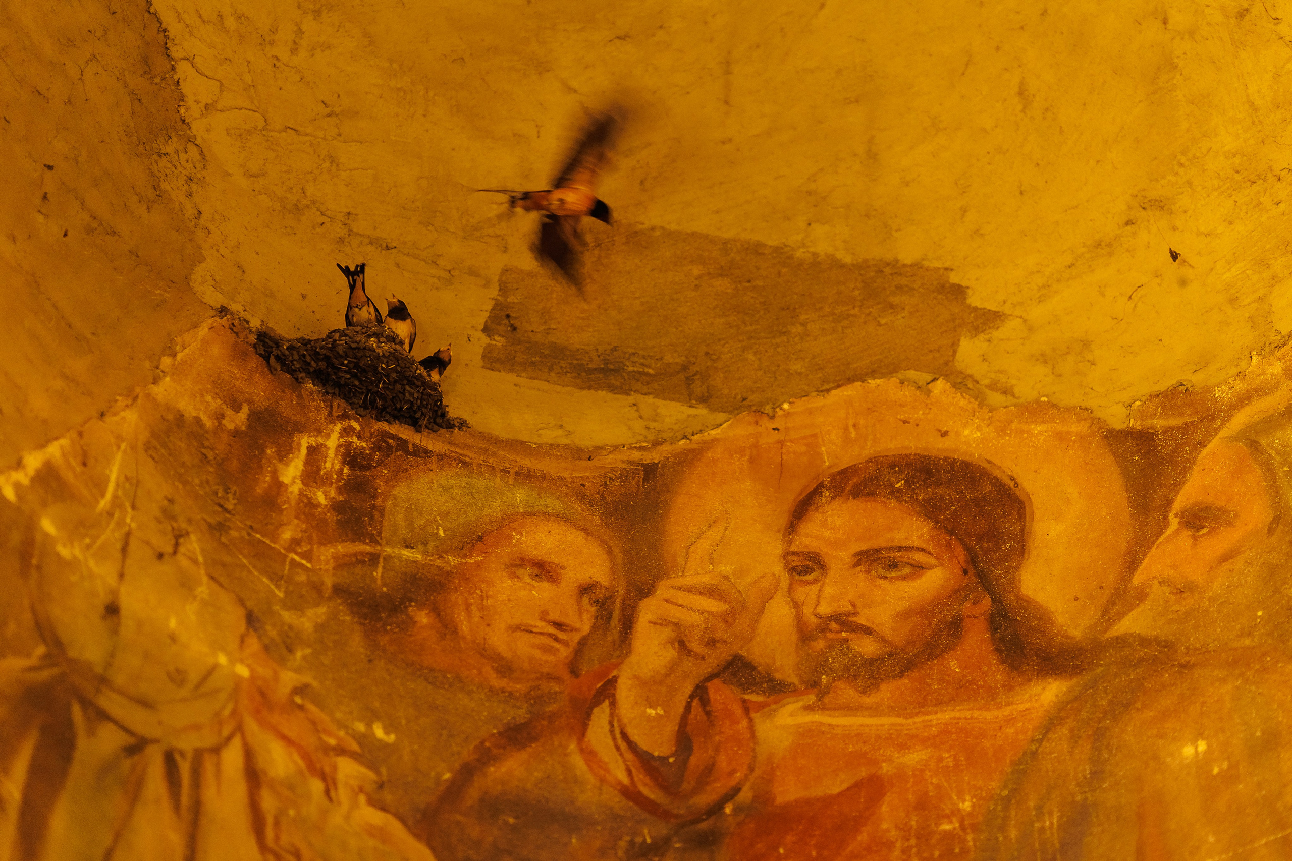 Св.Св. Кирил и Методий Бургас. Фотограф Ирина Йотова