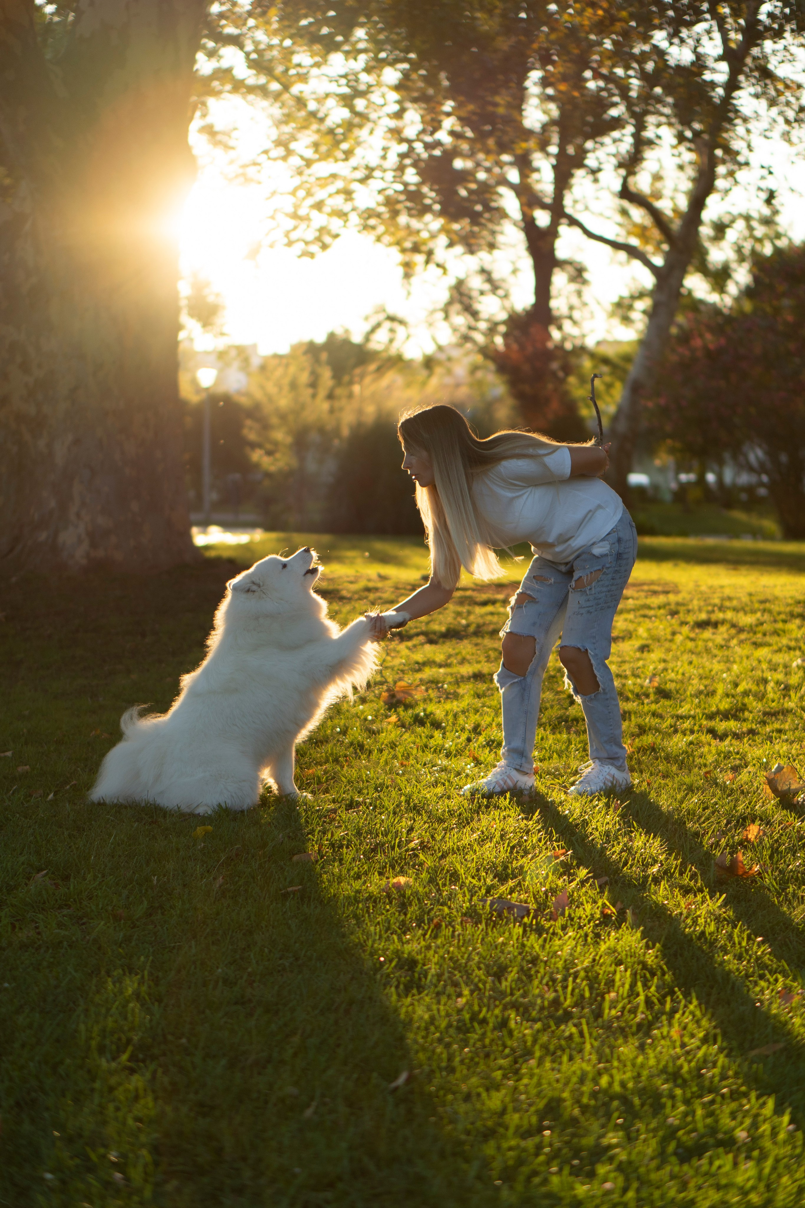 Portraits. Фотограф и видеомейкер Алина Матросова