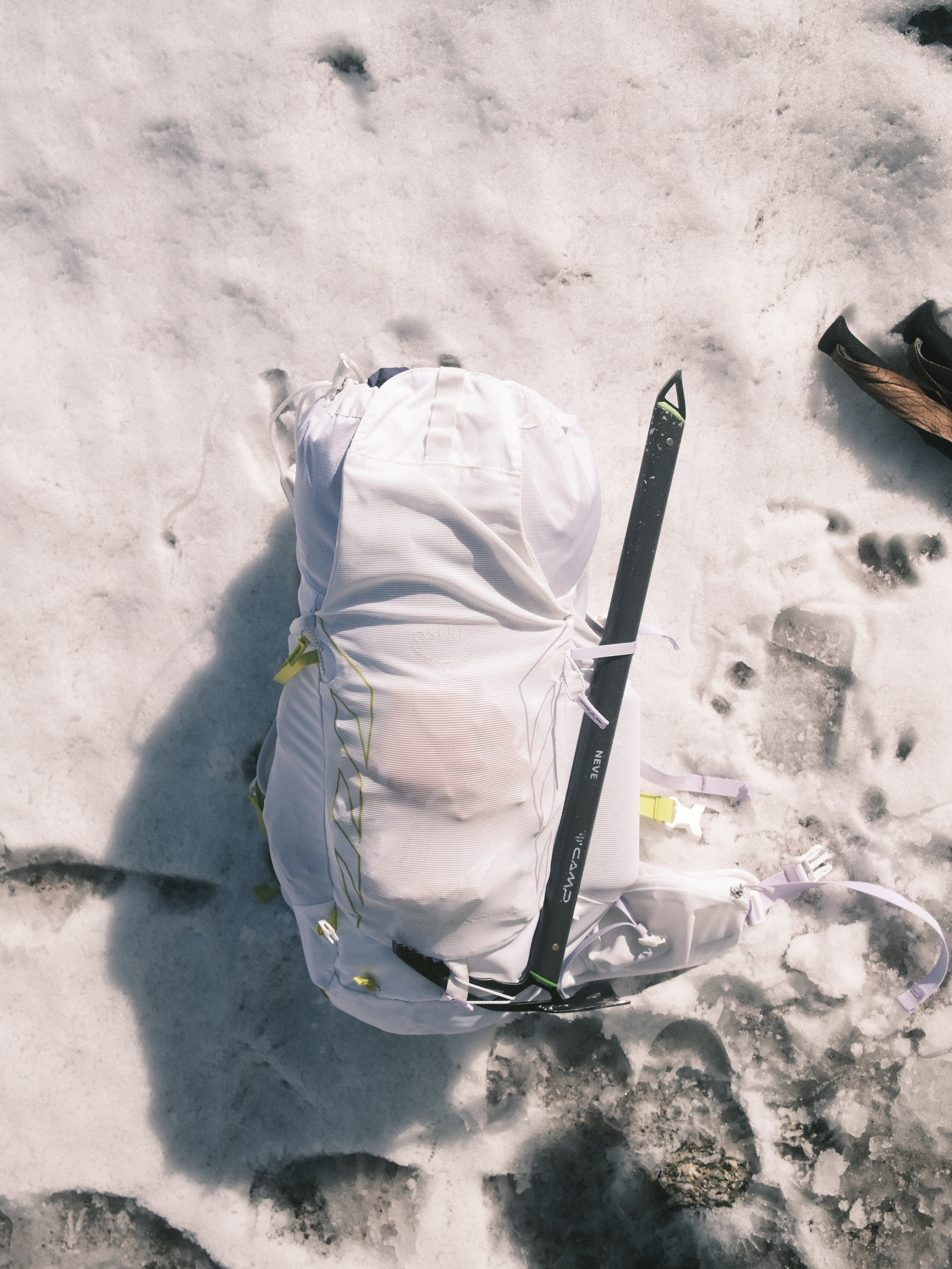 Pioneer Camp. Patricia Morenci — Mountain Adventures for the Wild at Heart