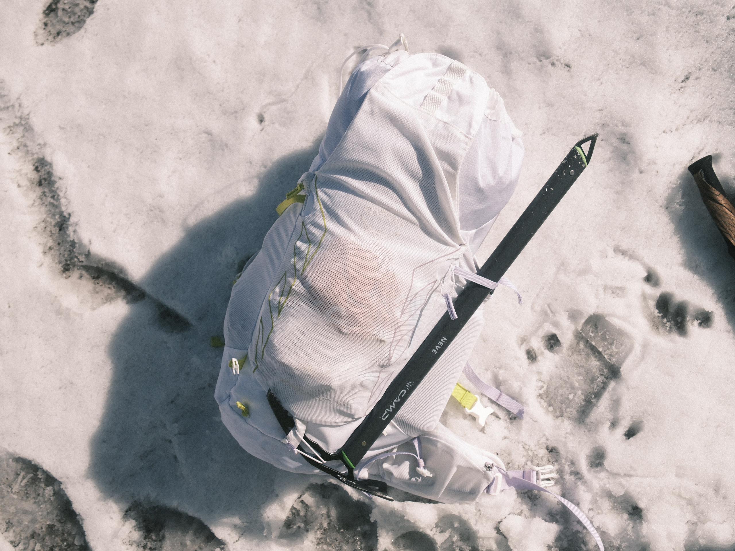 Pioneer Camp. Patricia Morenci — Mountain Adventures for the Wild at Heart