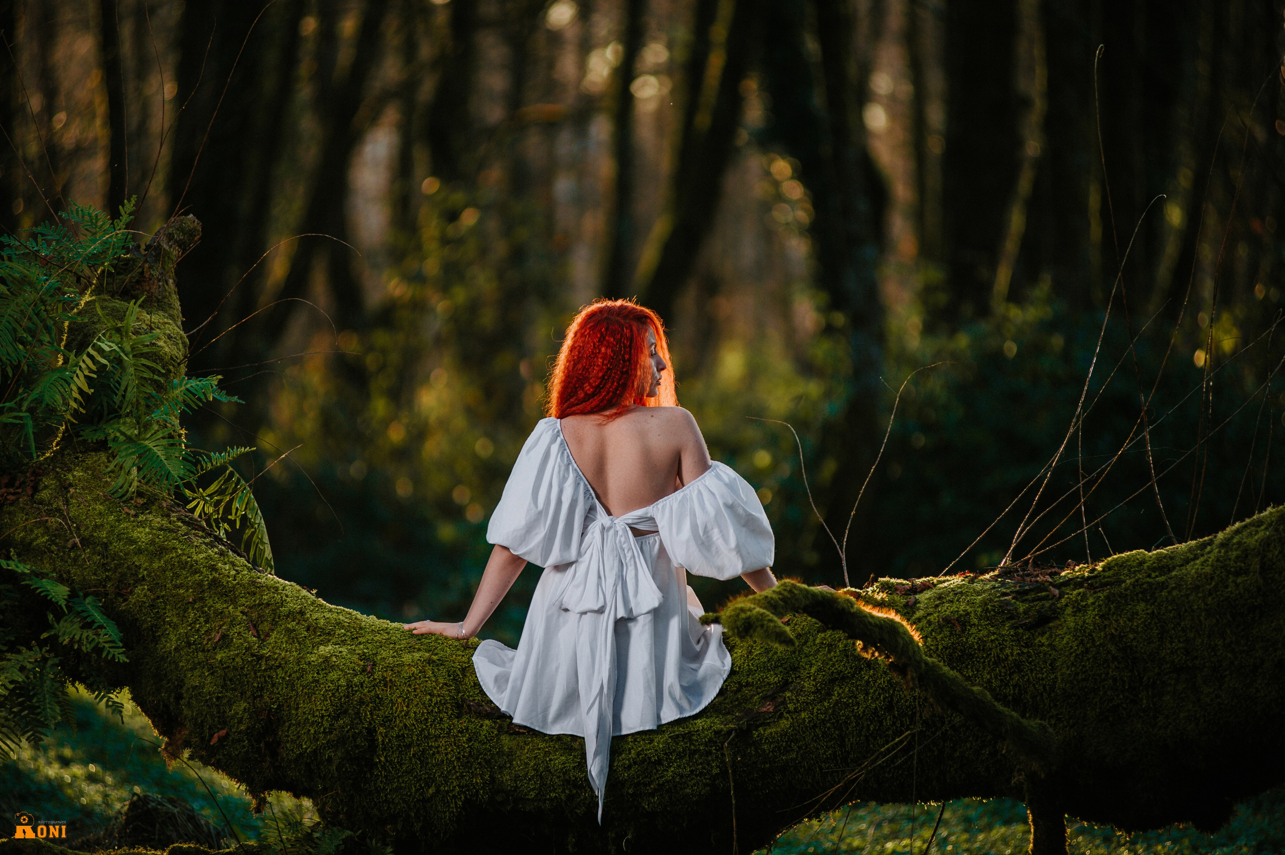 Personal Photo Session