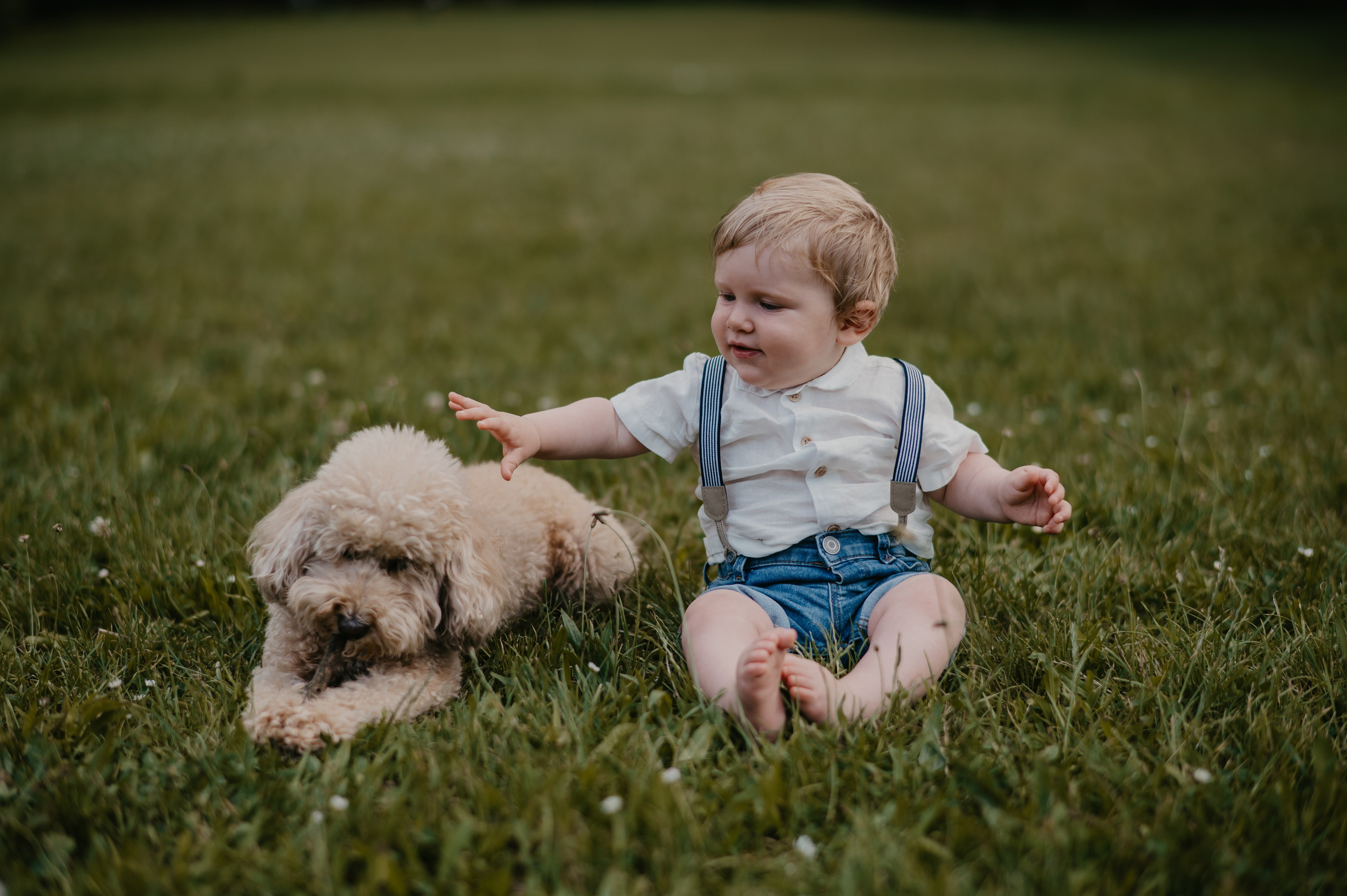 Sremska Kamenica. Ana Sladojevic