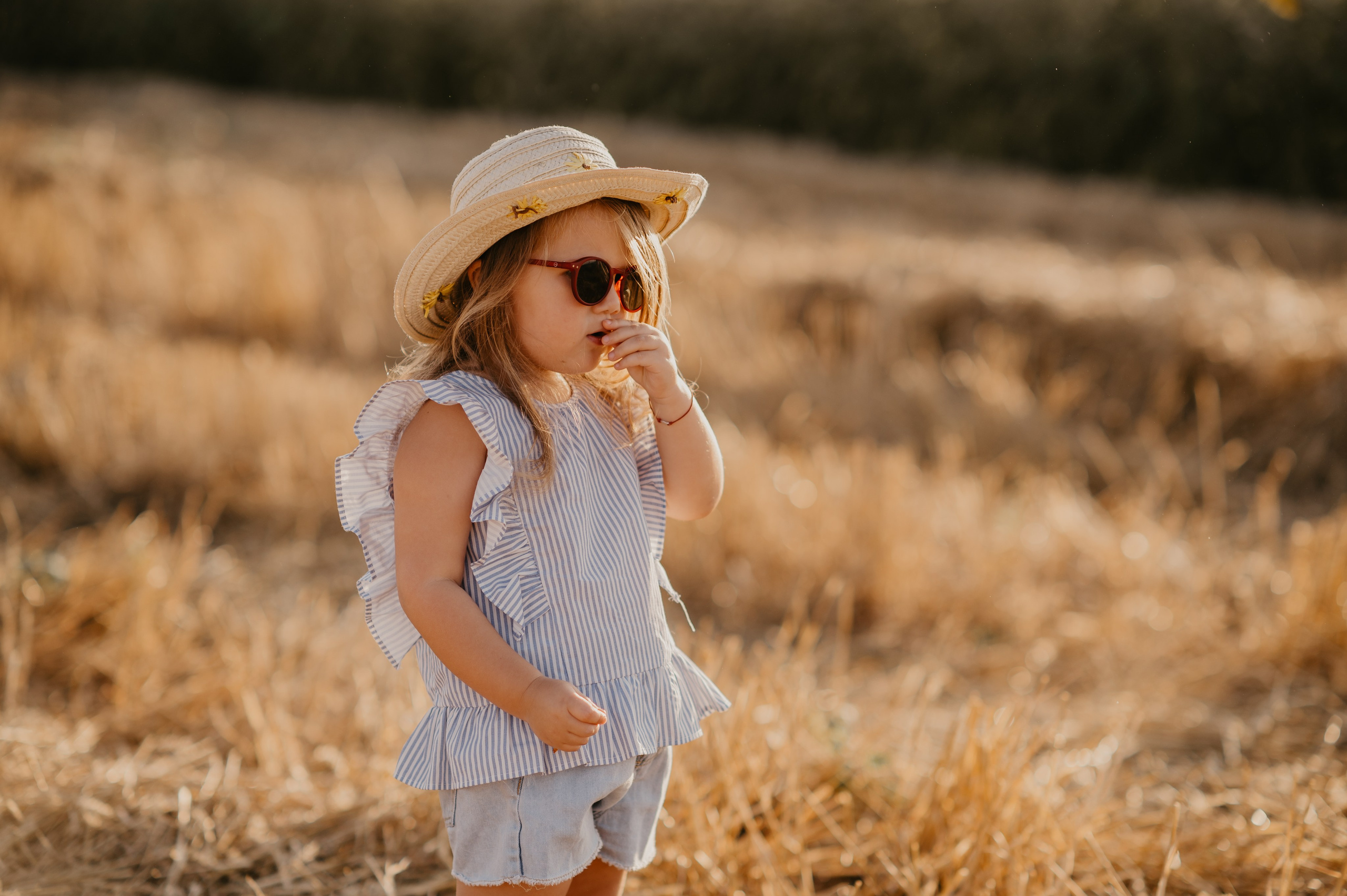 Polje suncokreta. Ana Sladojevic