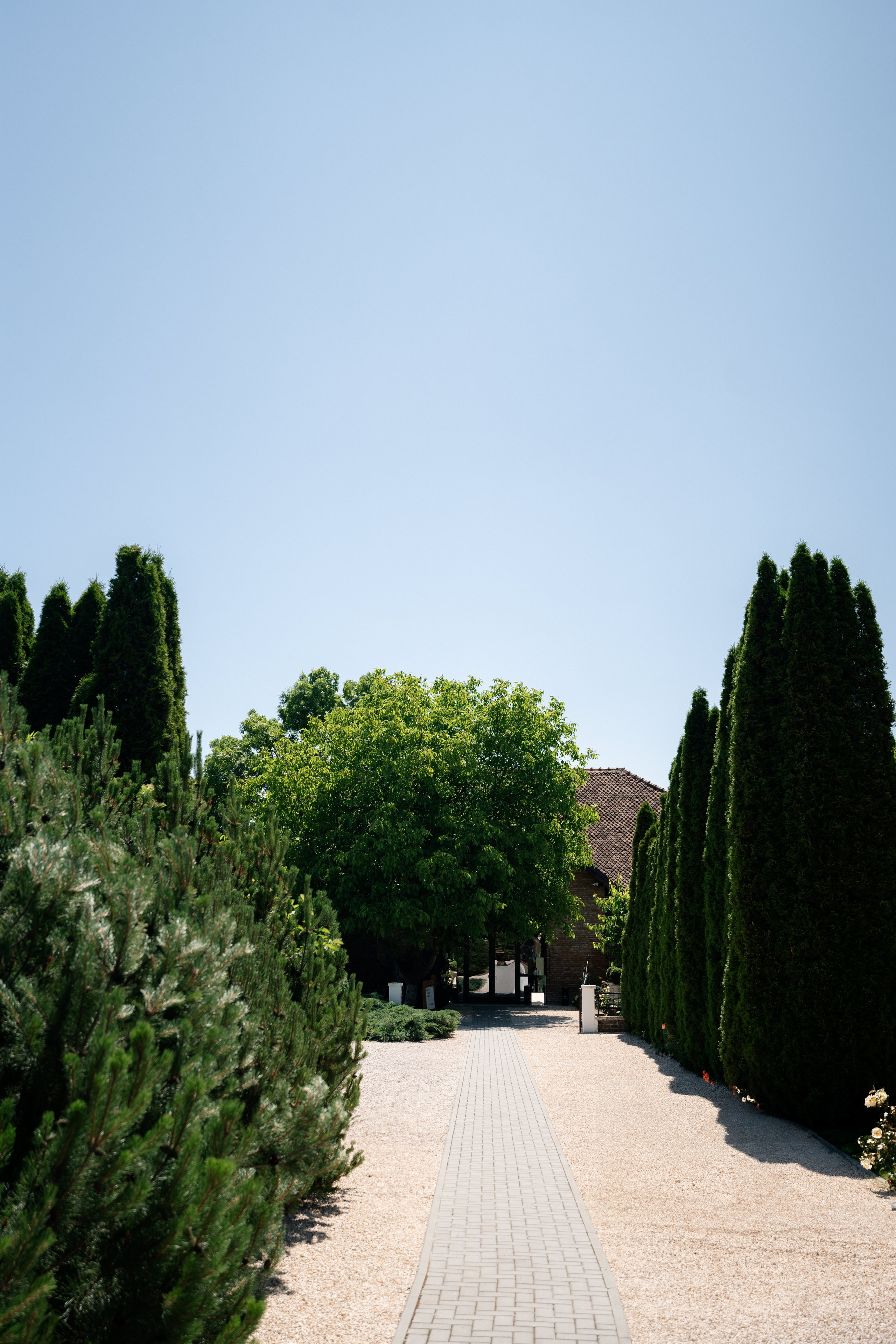 Octavia & Theo. Destination Wedding Photographer Alex Pasarelu