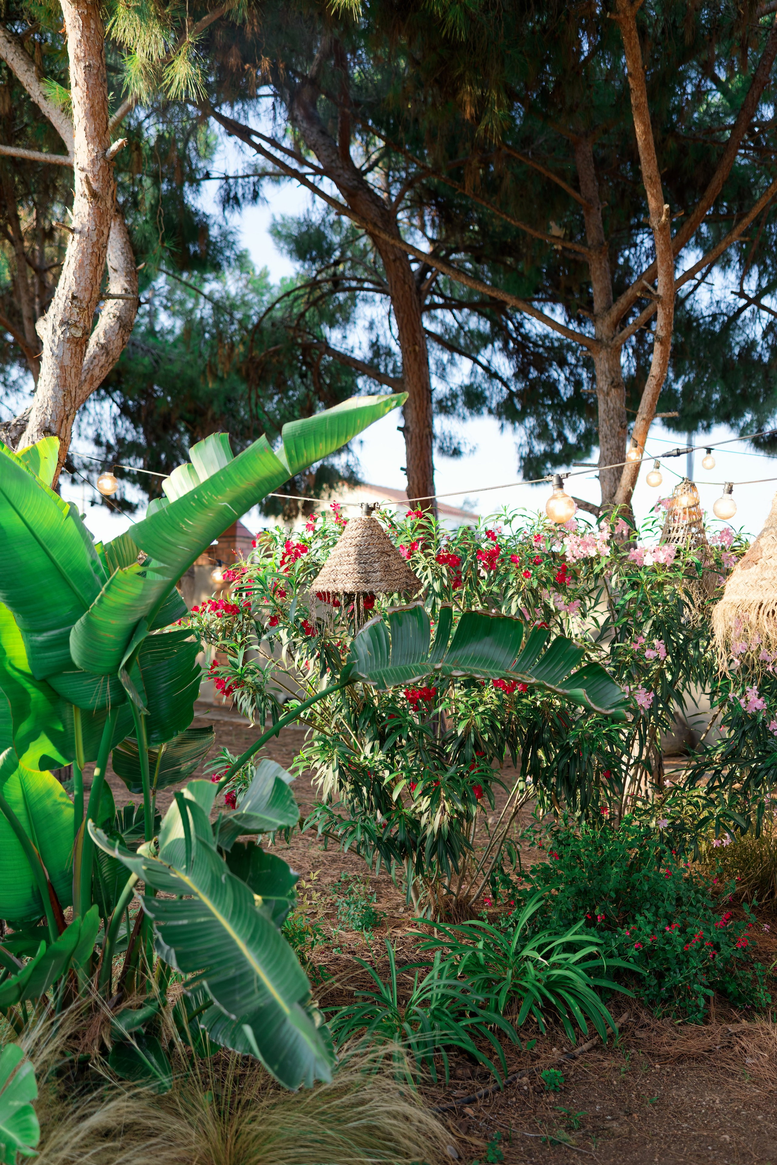 Haldi Ceremony & Mehndi Night & pre-wedding dinner, Barcelona