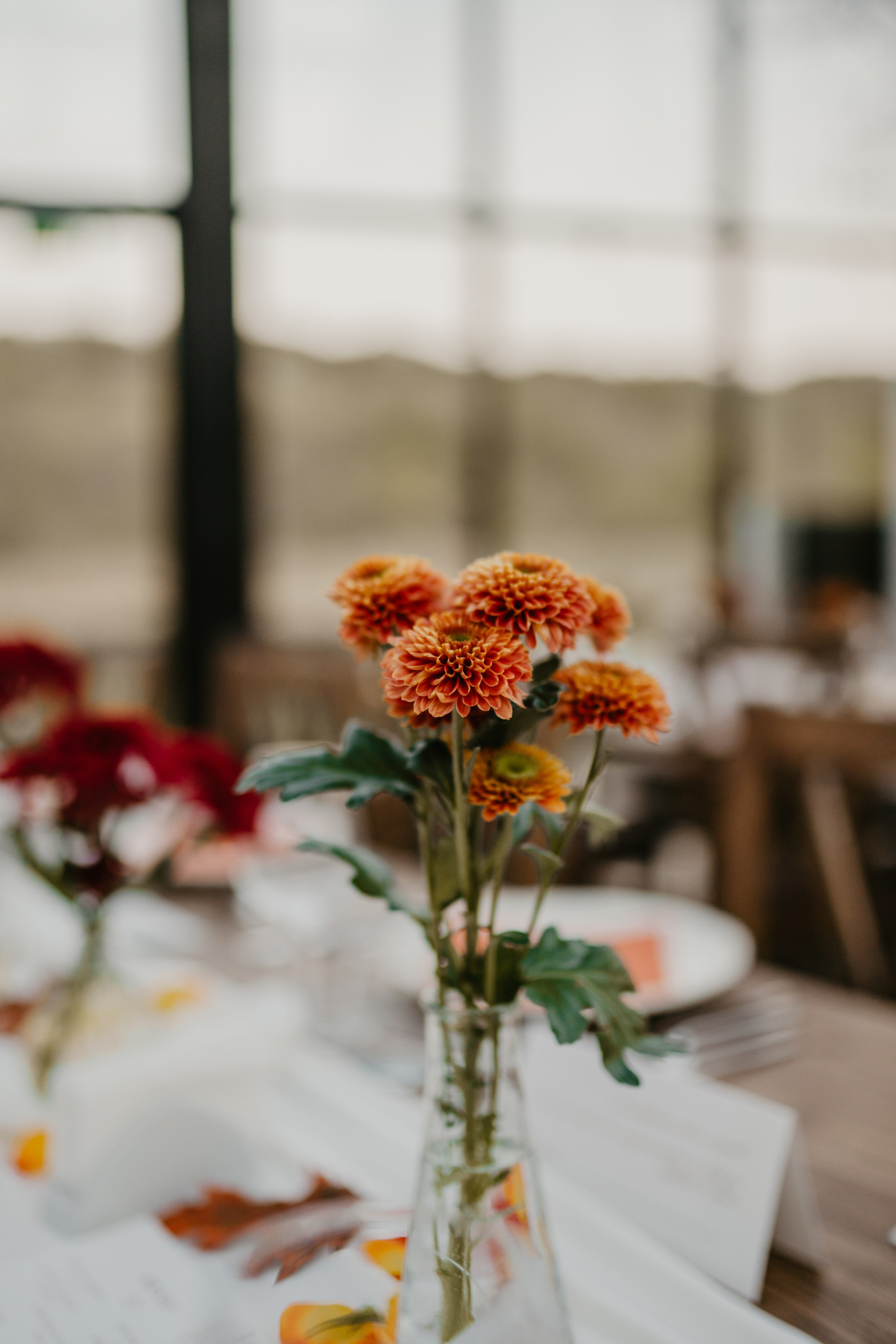 Lavinia & Gabriel. Gabrielacojocariu.com