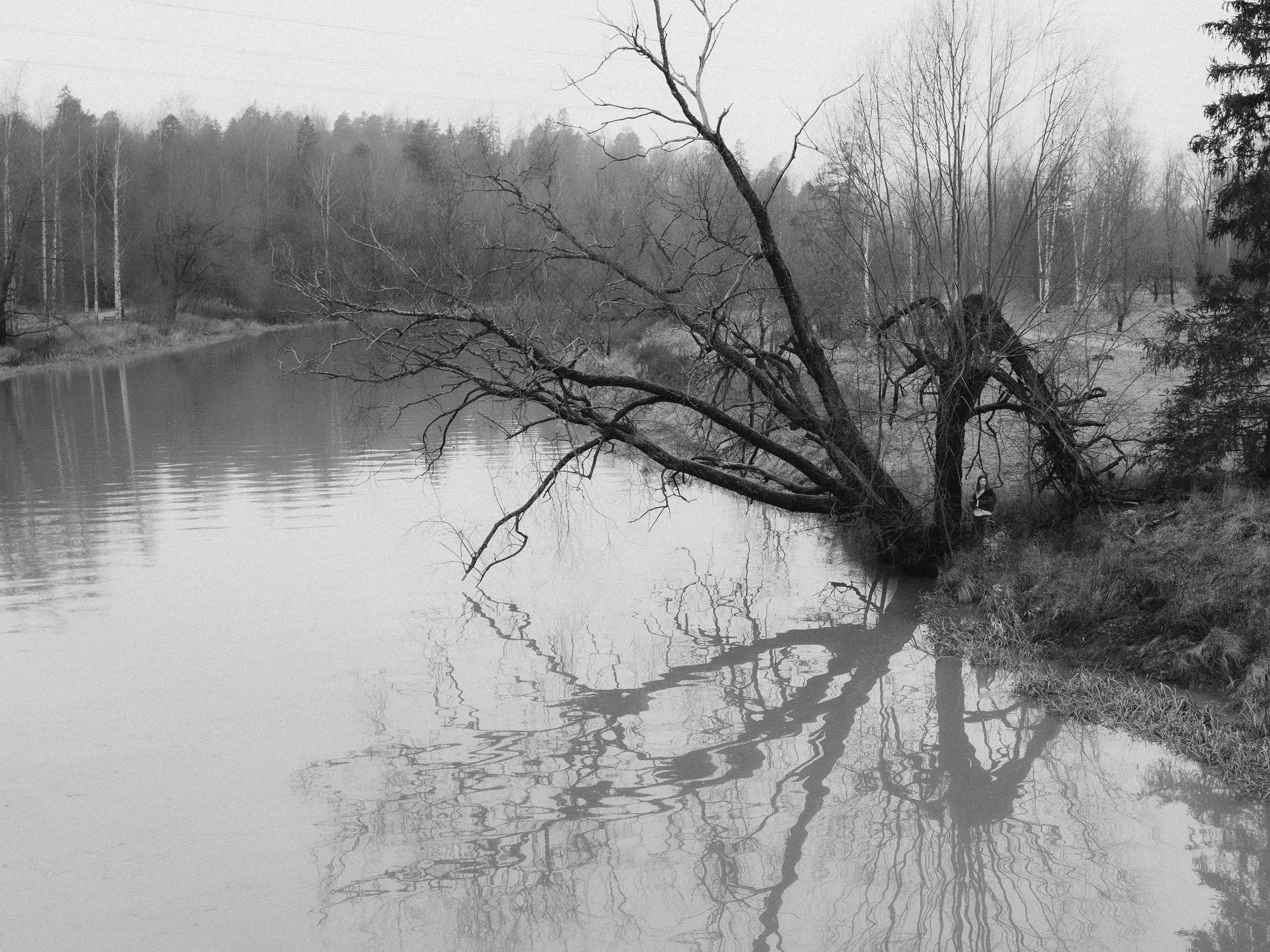 Sasha. Kristina, portrait and family photographer in Helsinki