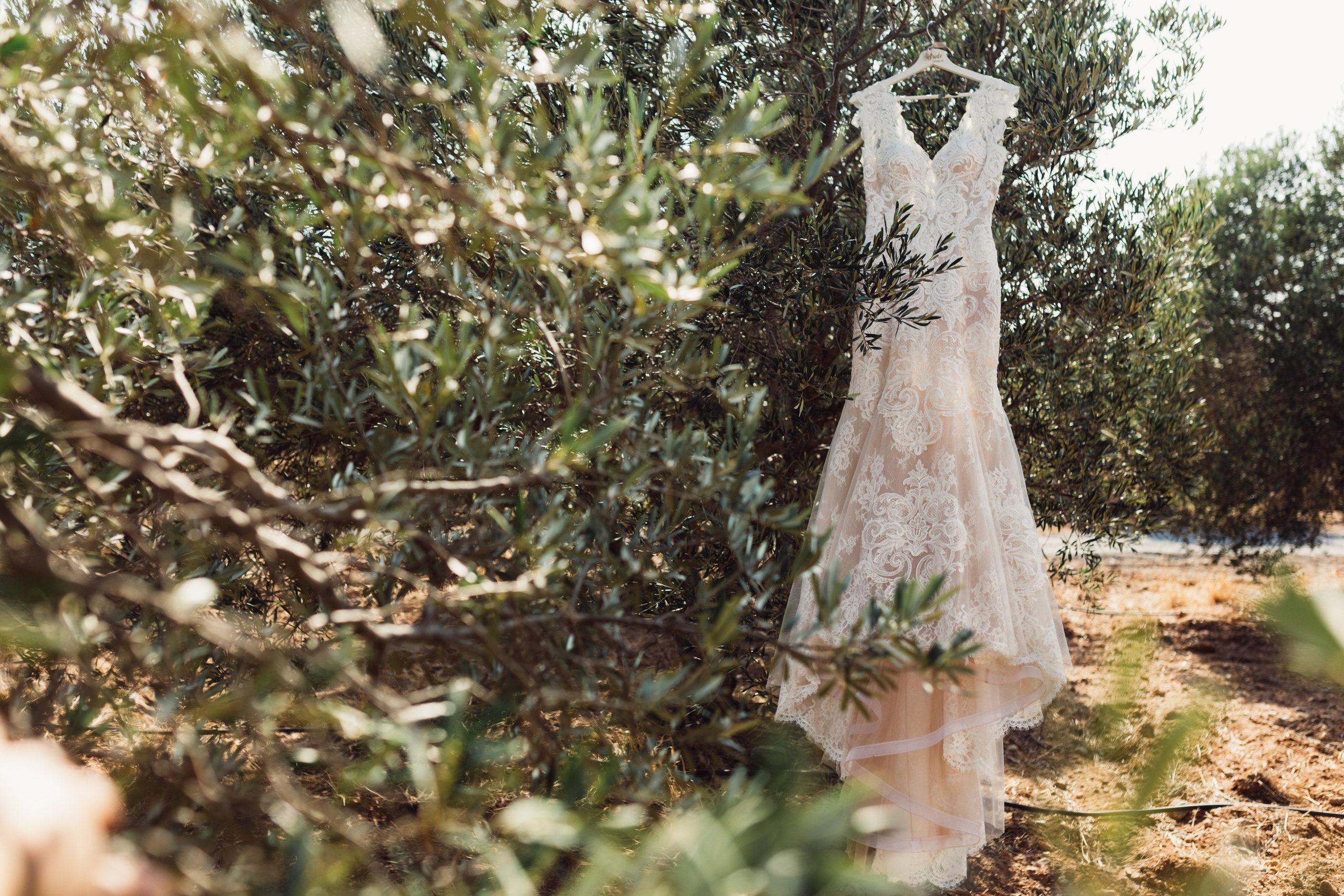 Aaron & Beata, Crete. Denny Savon — Photographer in Santorini | Weddings, Love Stories & Flying Dress