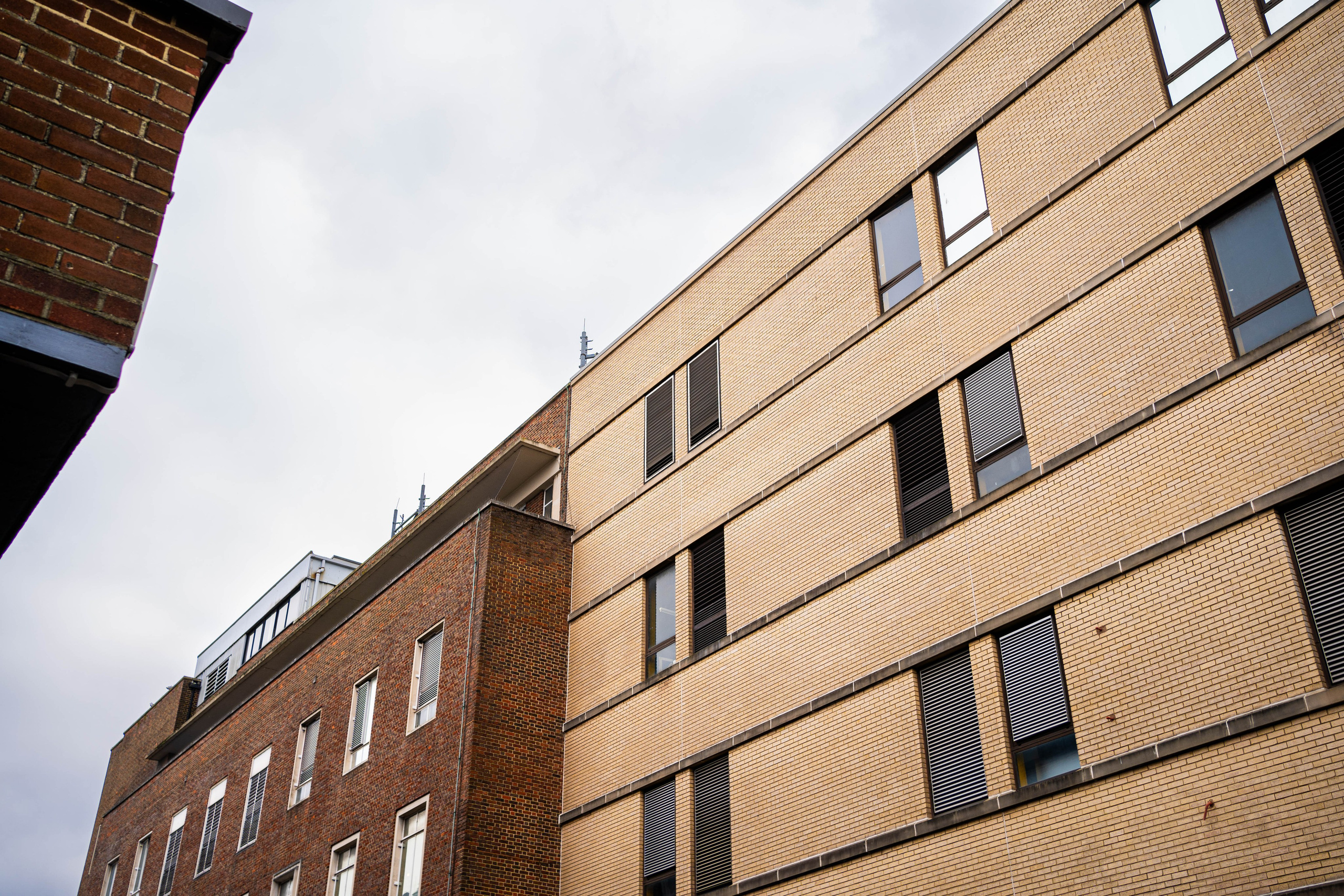 Alecsandru Braicu — Sports Photographer