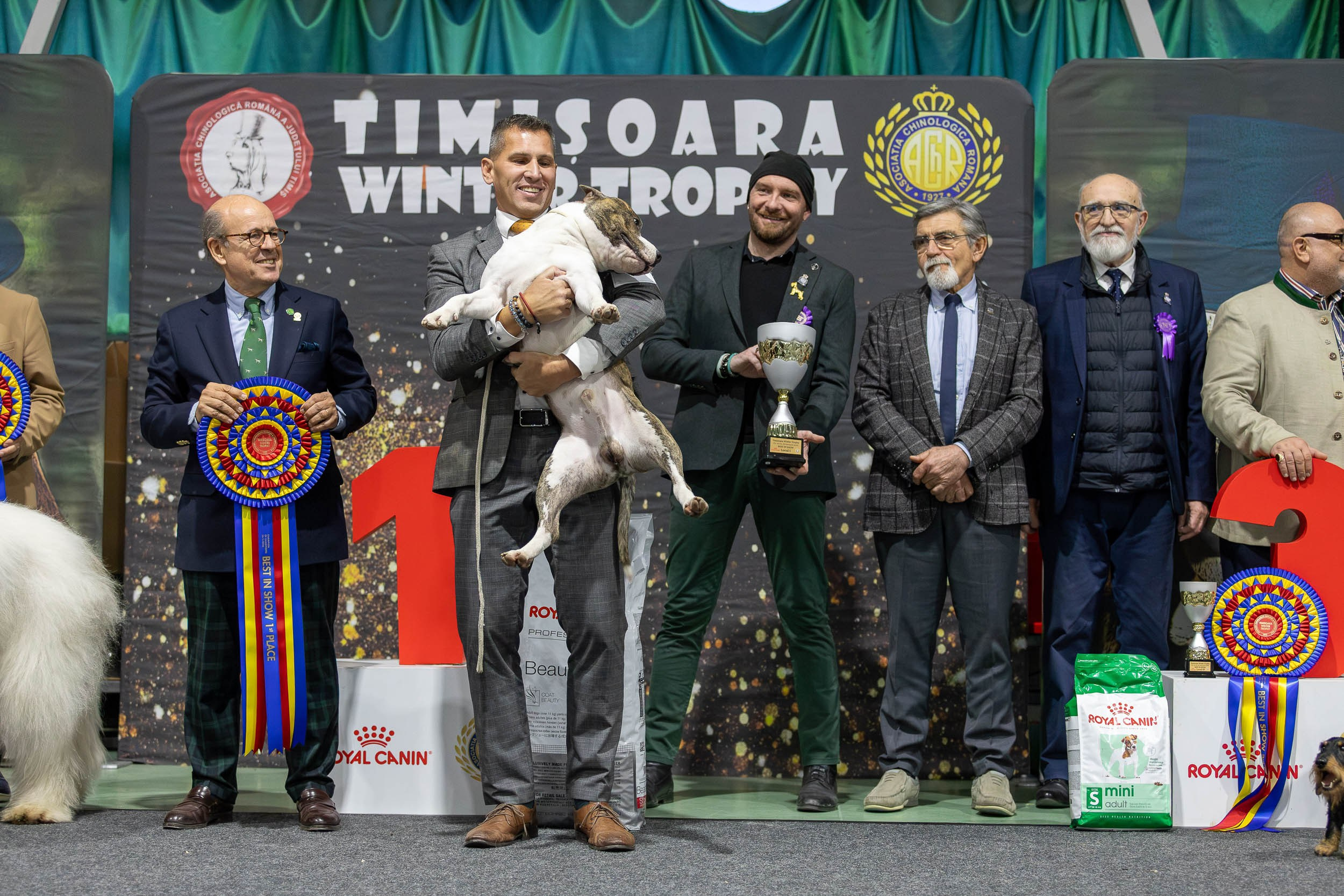 Dog Shows. Yurii Orlyk Photography