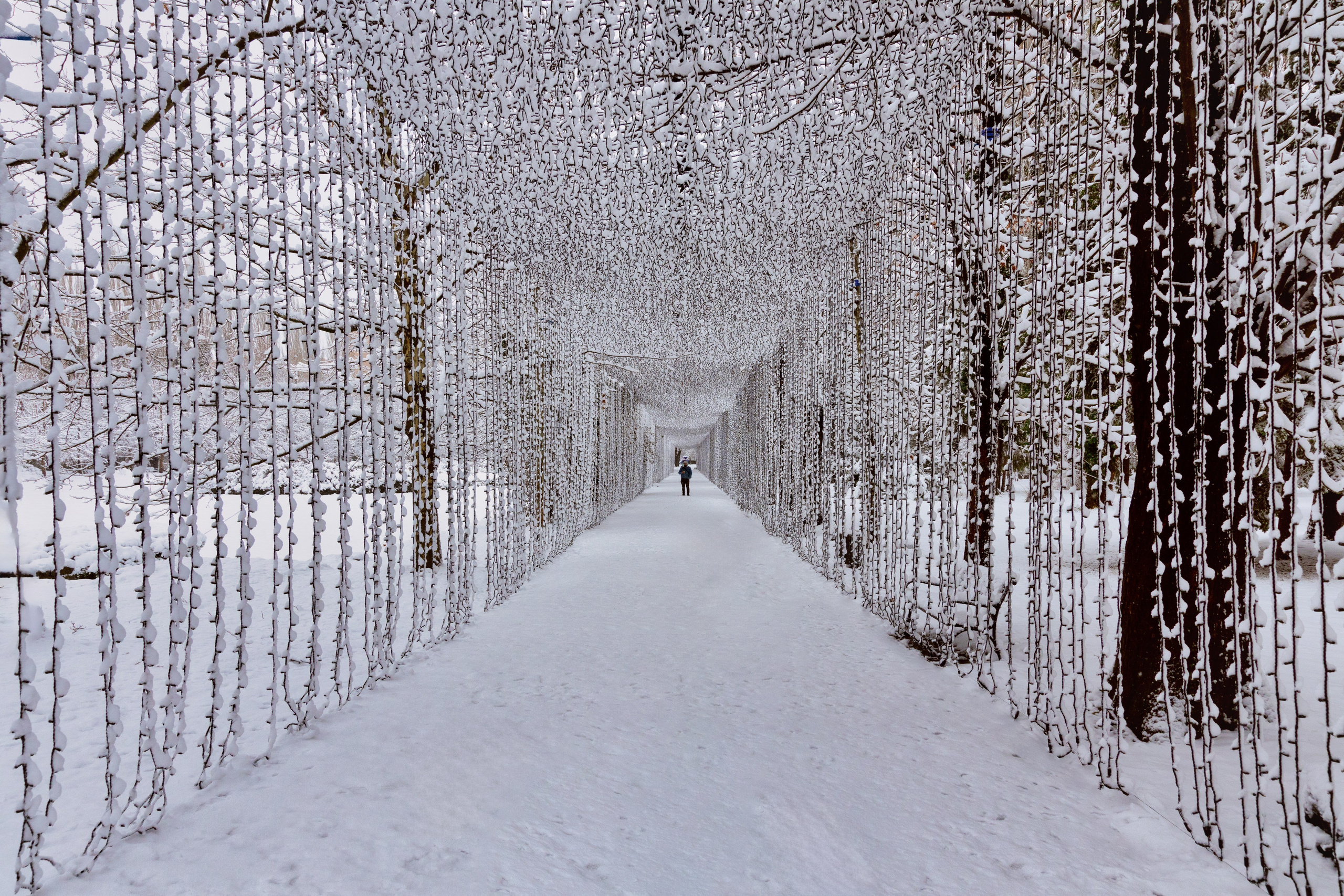 Decor botez tematic pastel – fotografie profesională