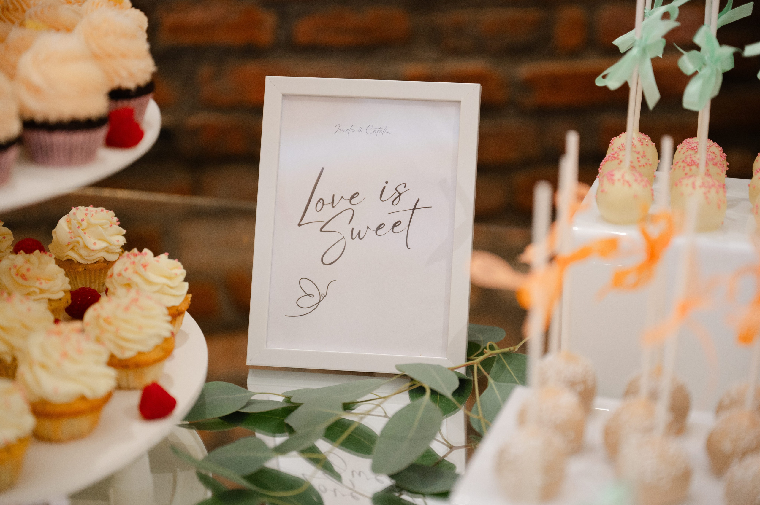 Ionela & Cătălin O Nuntă De Poveste La Conacul Heldsdorf | Happy Souls