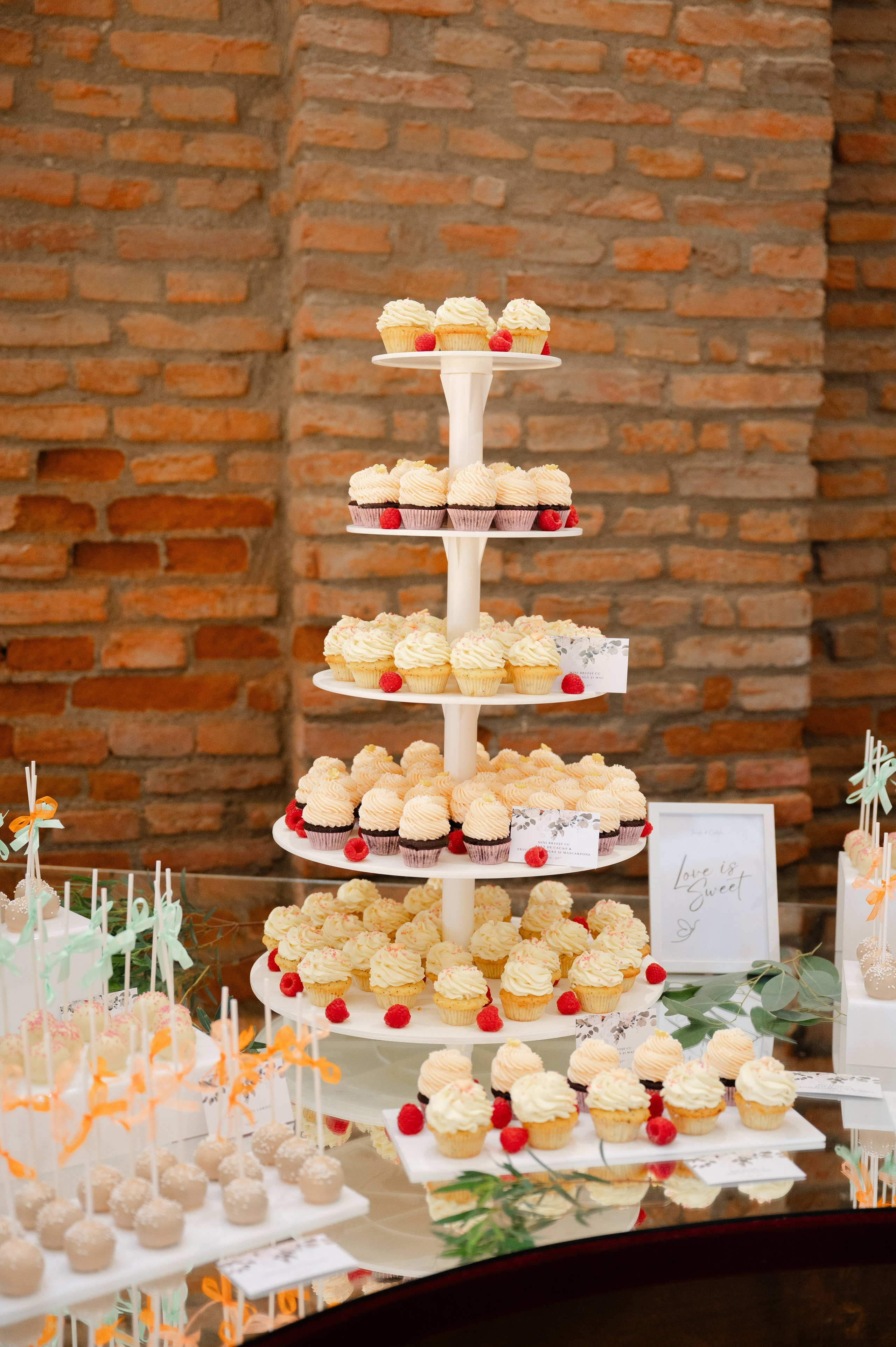 Ionela & Cătălin O Nuntă De Poveste La Conacul Heldsdorf | Happy Souls