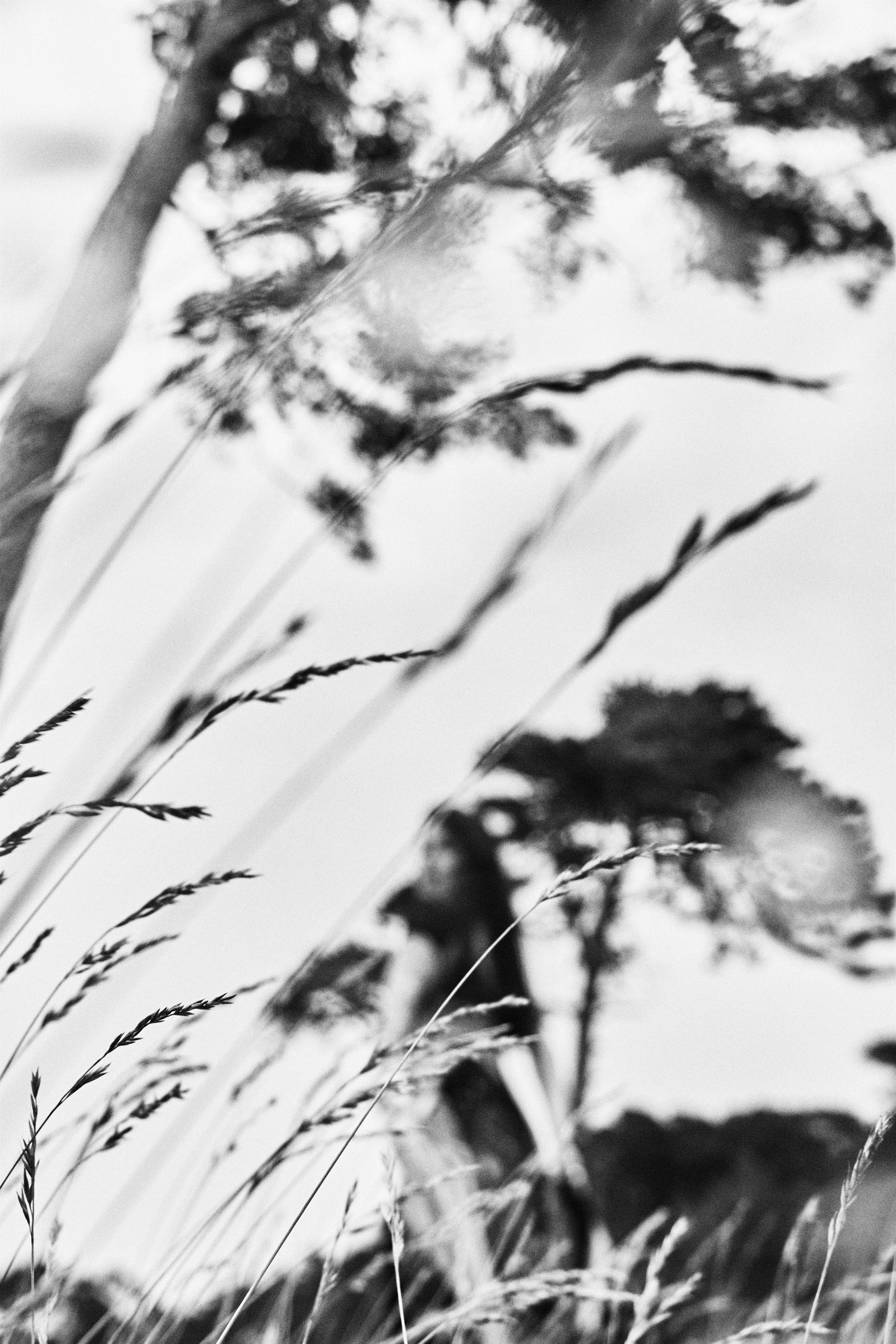 UNCAGED. Kristina Chimbaraite — Conceptual Portrait Photographer in Europe