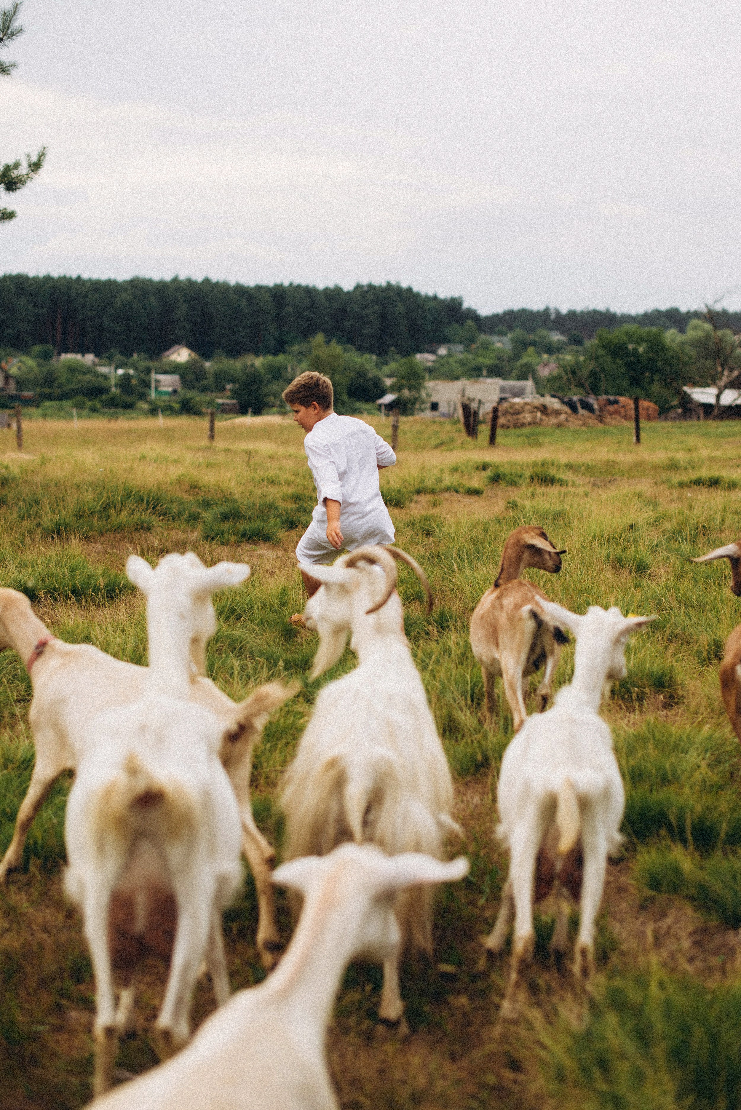Беременность на природе. Семейный фотограф Лейпциг, Германия