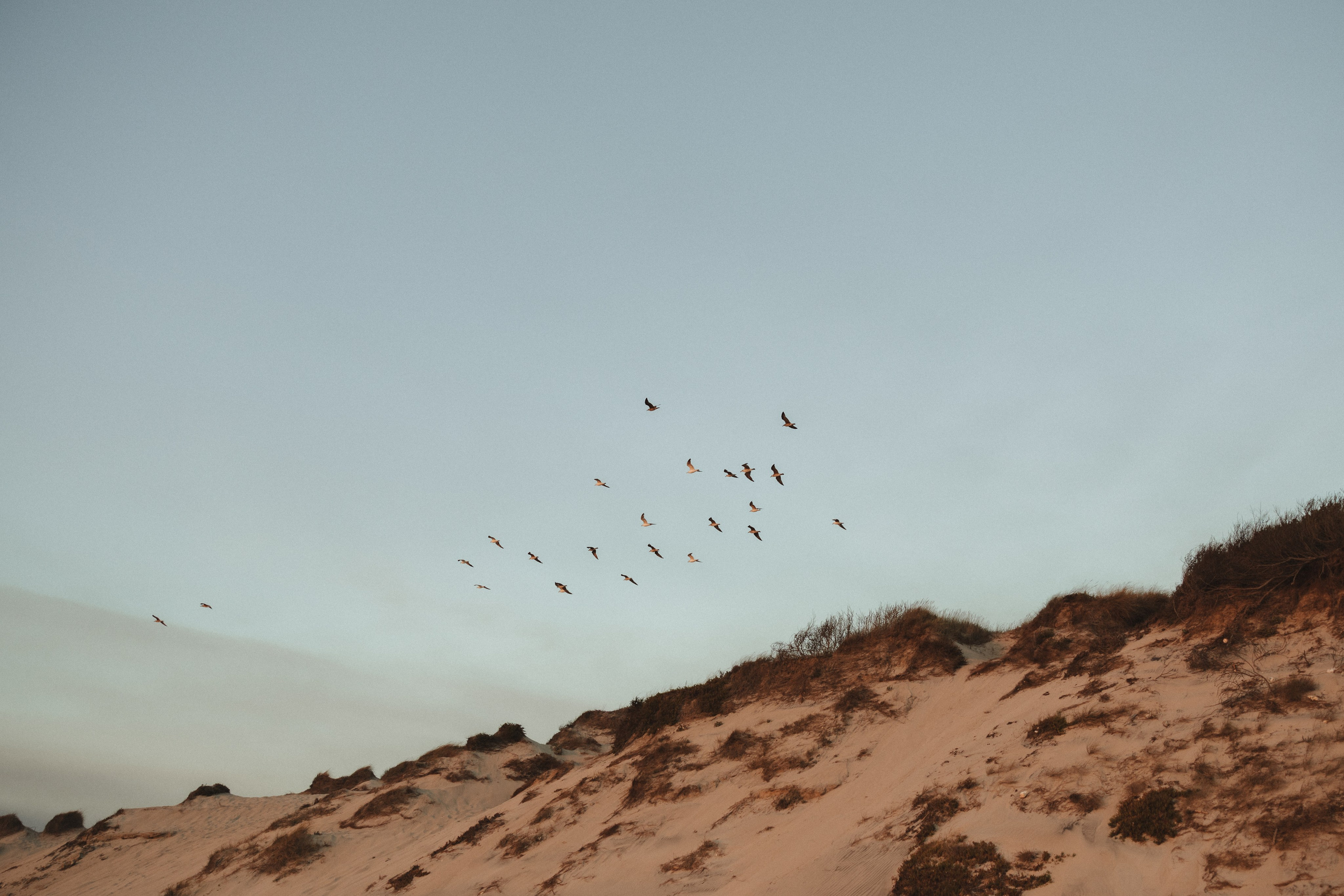 Sara e Fábio. Photographe de mariage et de famille à Braga — Alexandra Mieres Photography