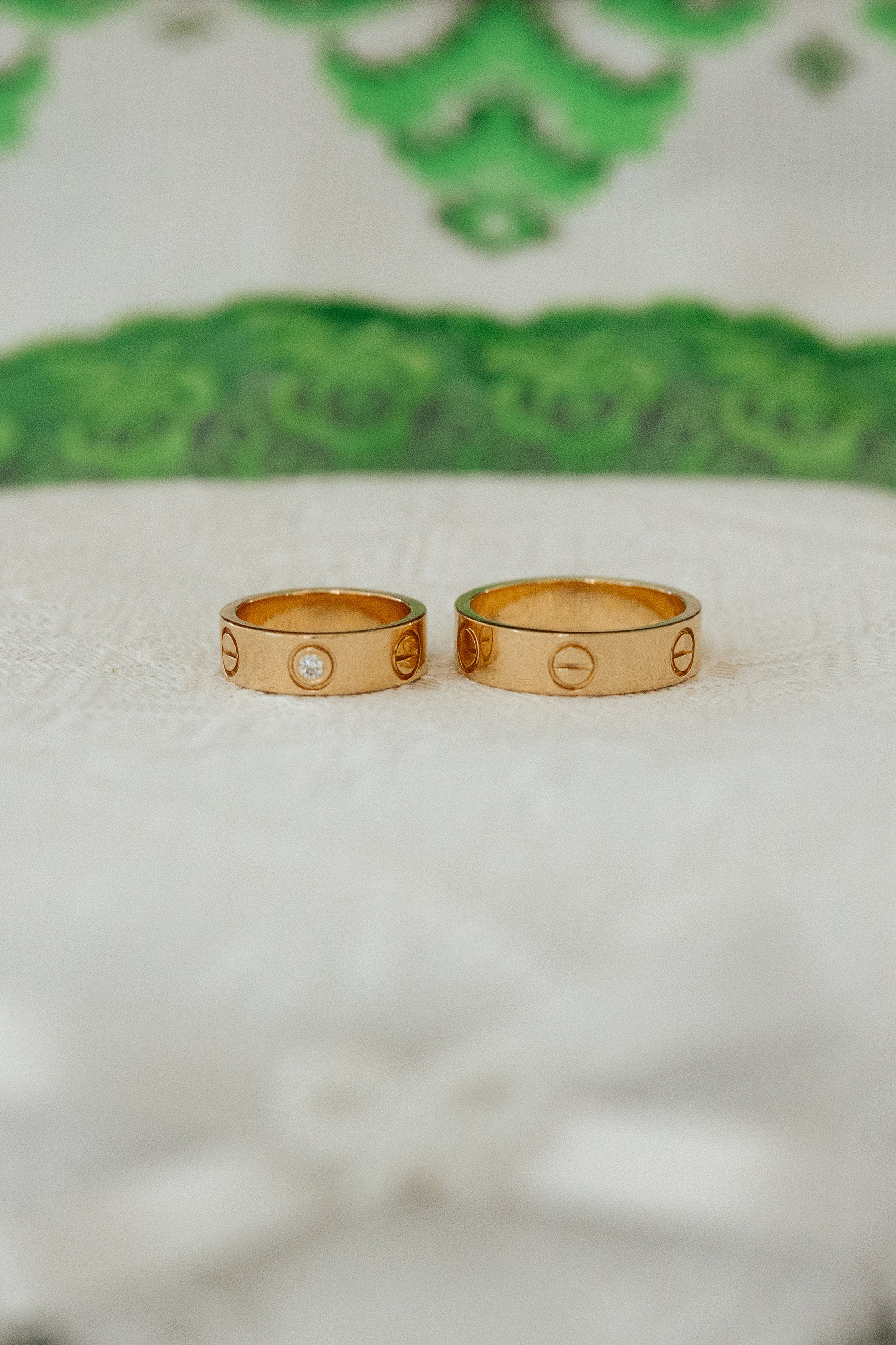 Diana Vlad. Ірина Терещук