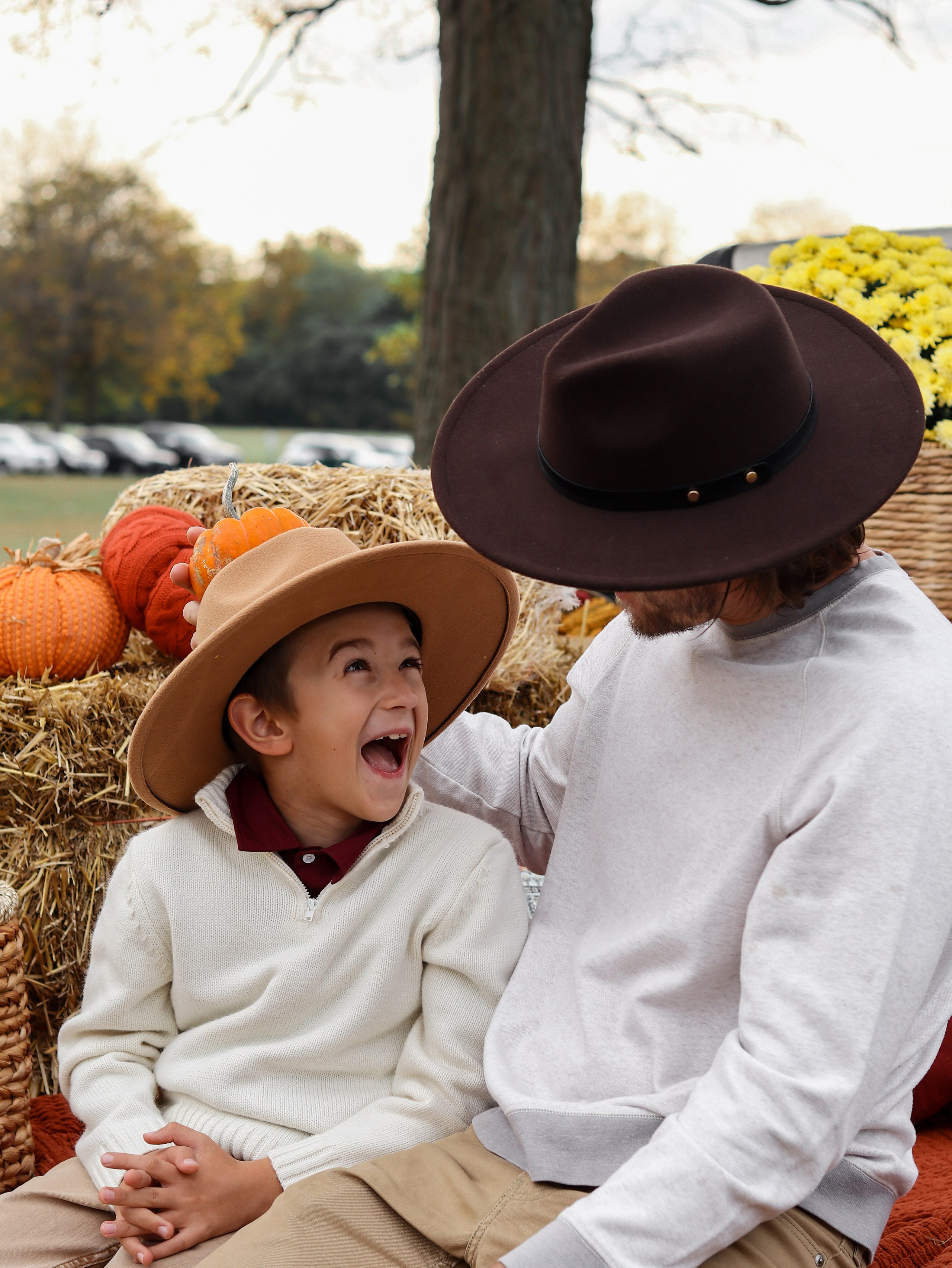 Pumpkin photoshoot. Портфолио