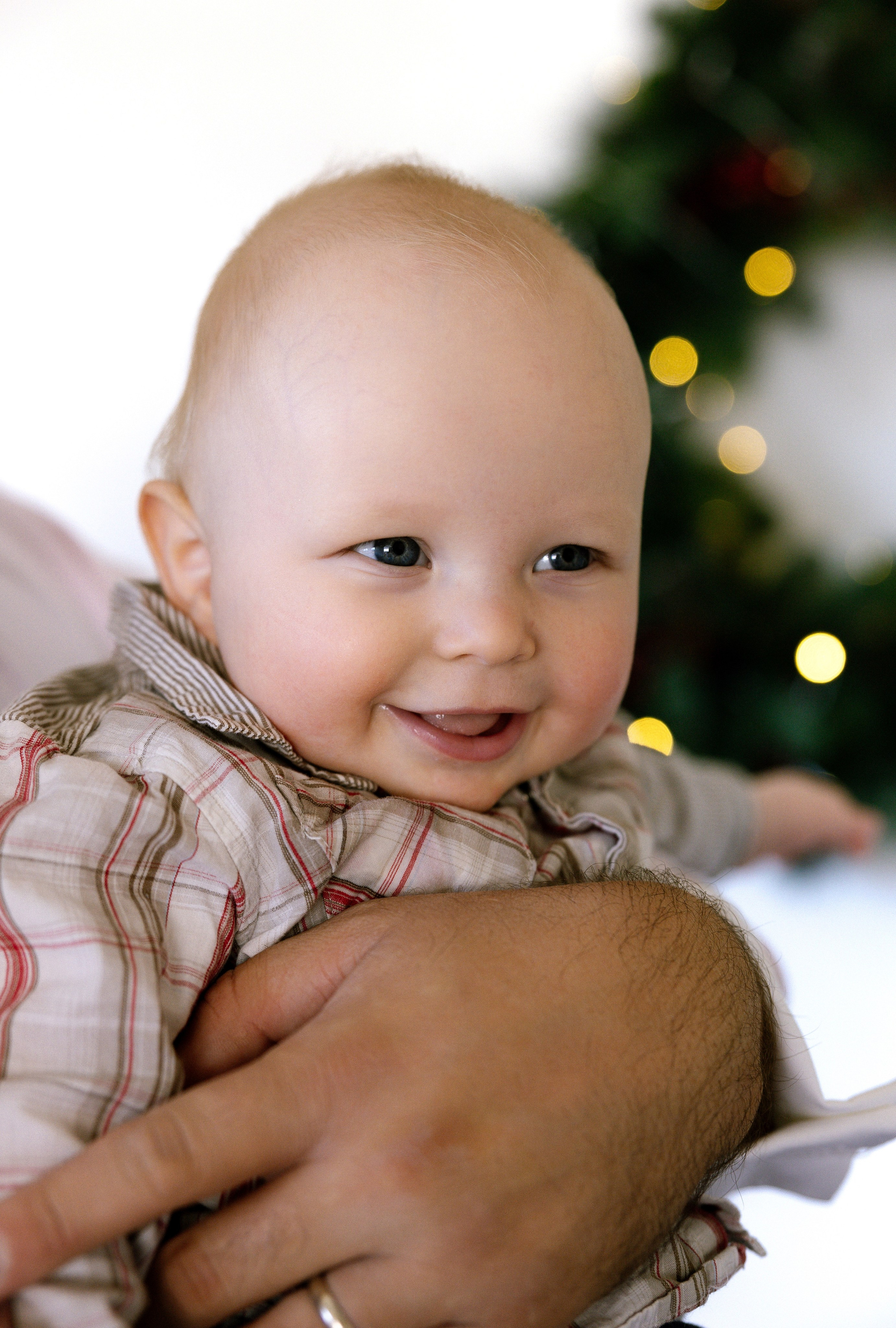Christmas Family Photoshoot. Photographer Anastasia Nagibina