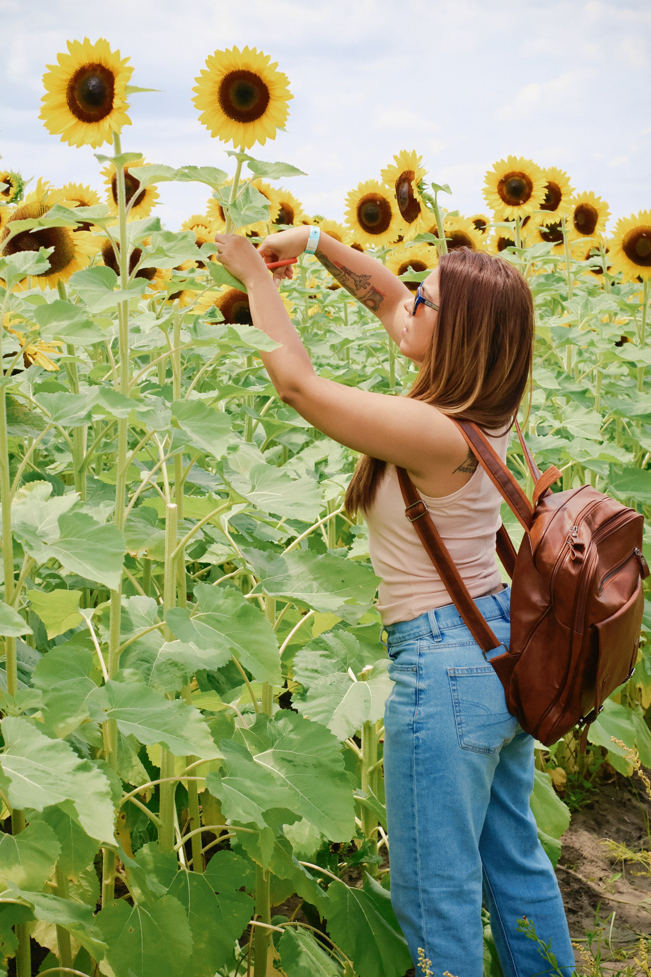 SUNFLOWERS. Workmakeapp Studio