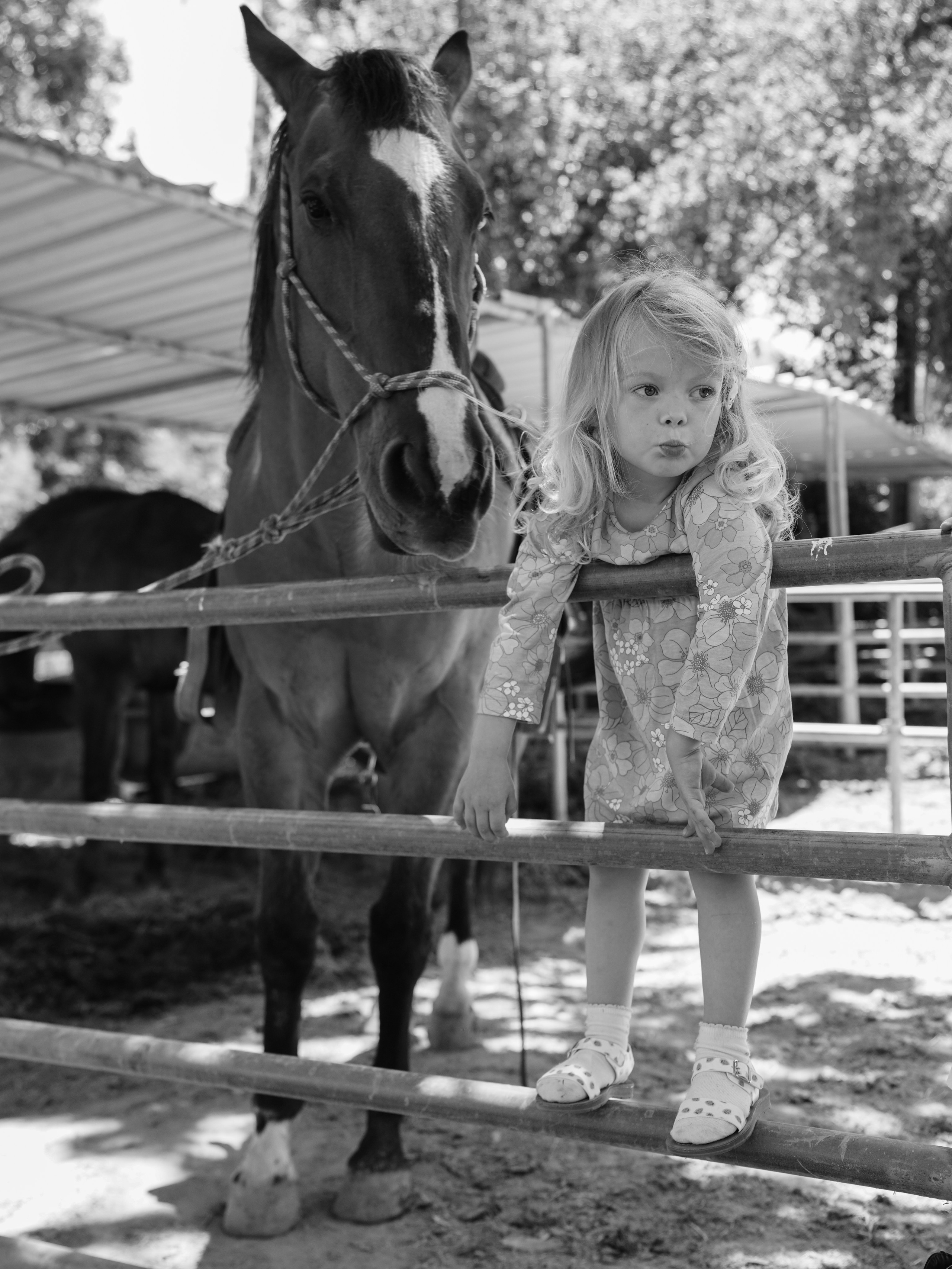 Children with horses. Фотограф и видеограф в США (и по всему миру) — Татьяна Иванова