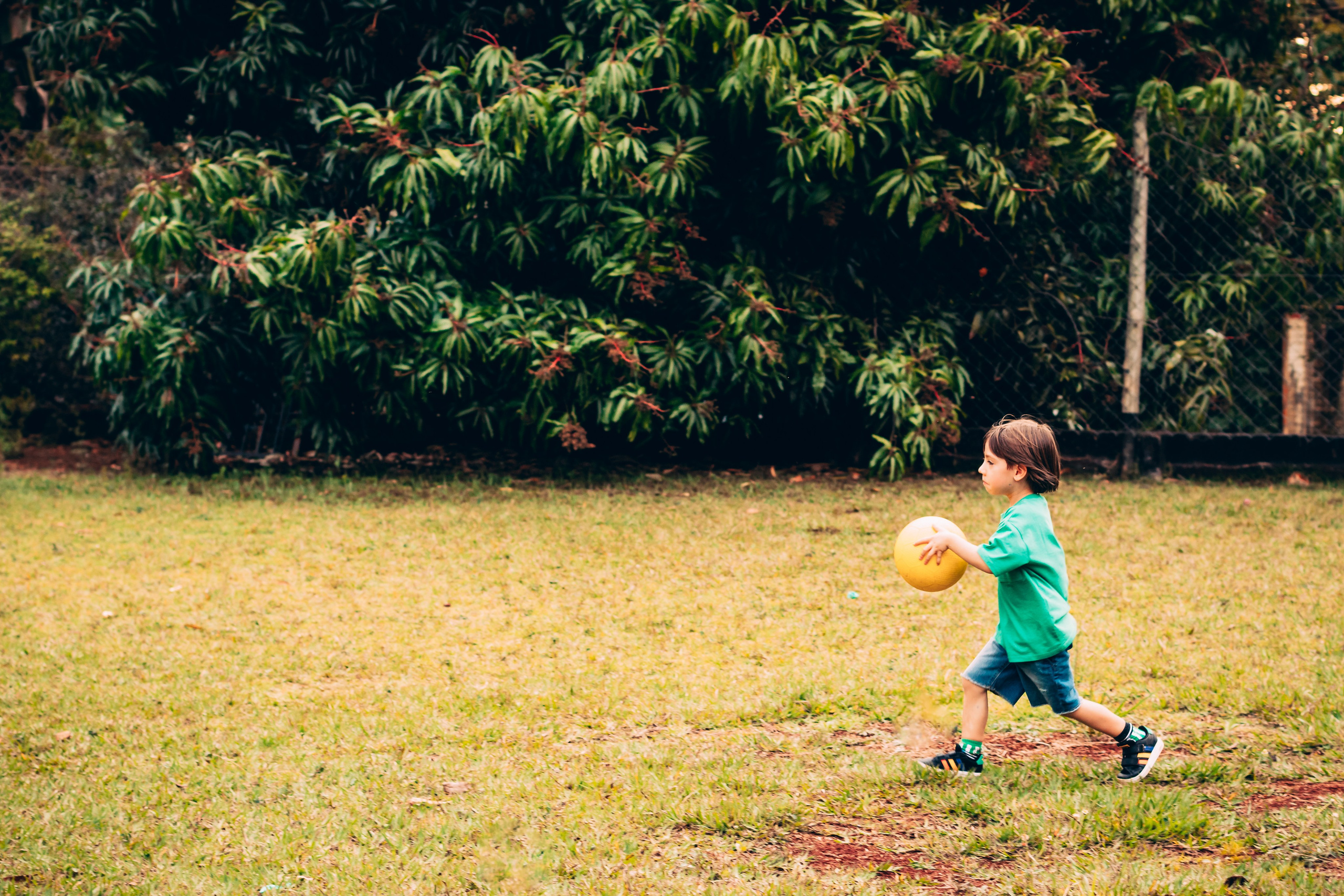 Alice — Aniversário 1 ano. Principal