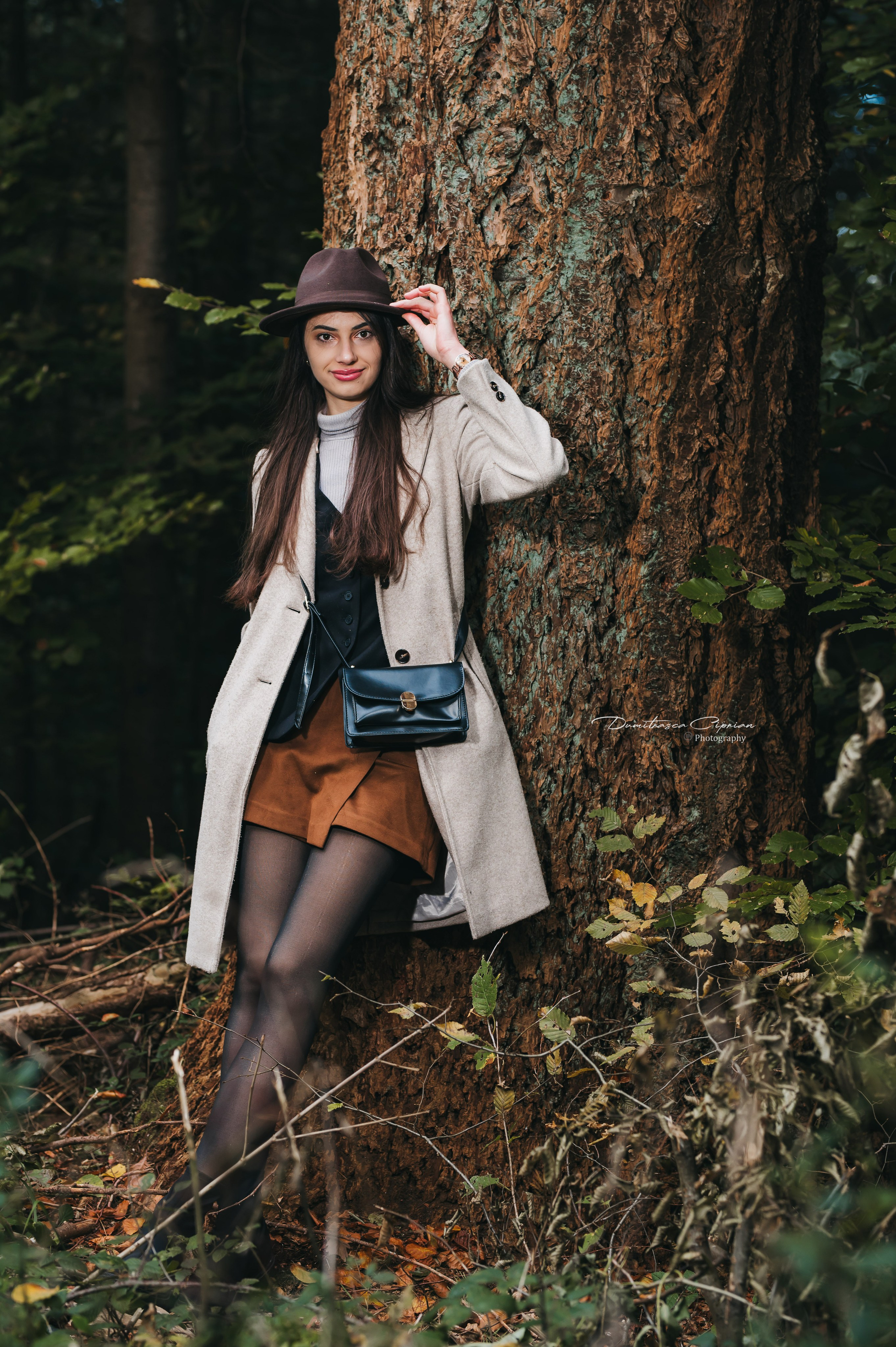 Golden Fall. Dumitrasca Ciprian Photography