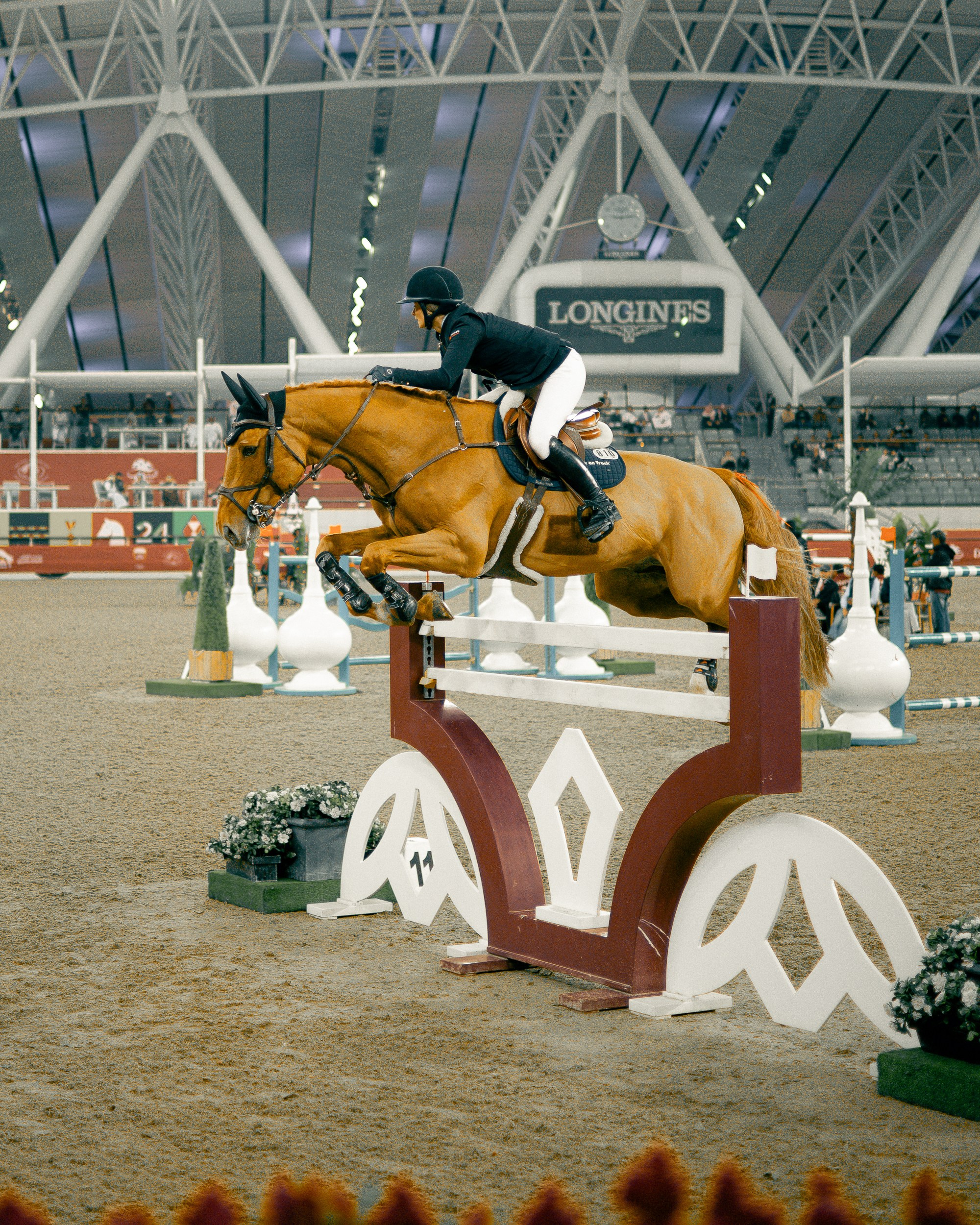 Doha Tour 2024 🐎. Regina Turbin — official website