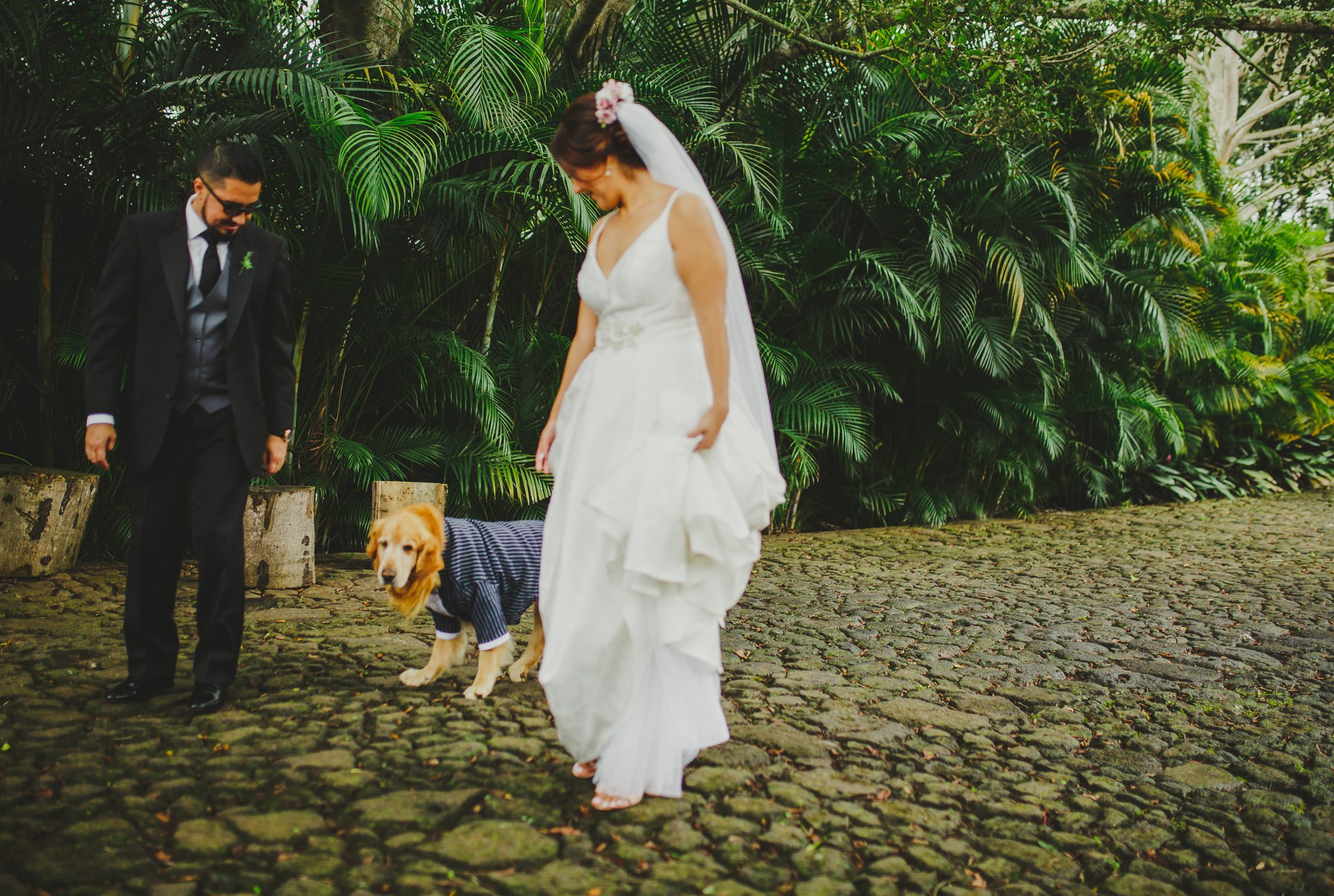 Sofi & Fer. Wedding and family photographer in Mexico City
