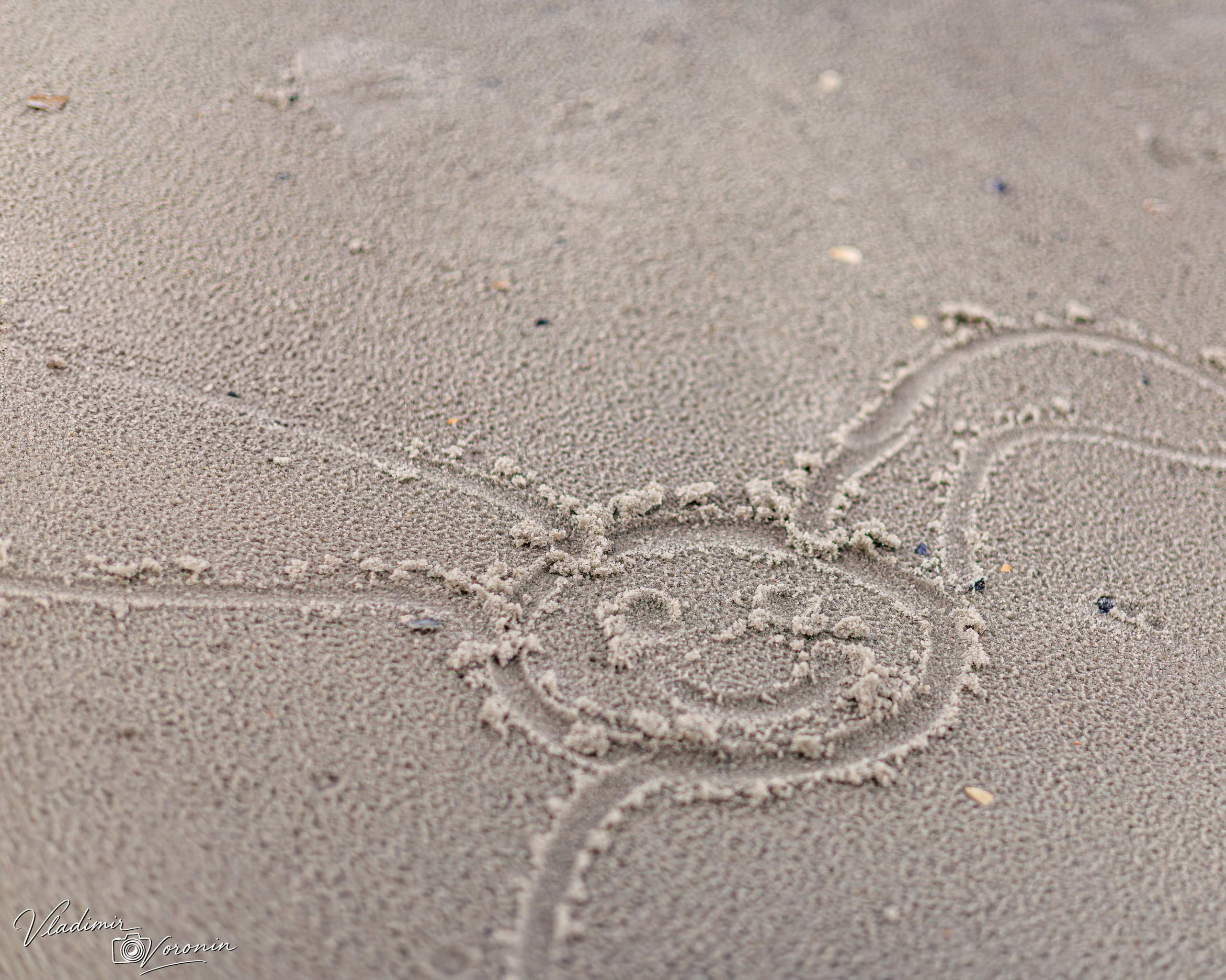 Children’s Portrait Session — Pure, Joyful, Timeless. Photographer St. Augustine