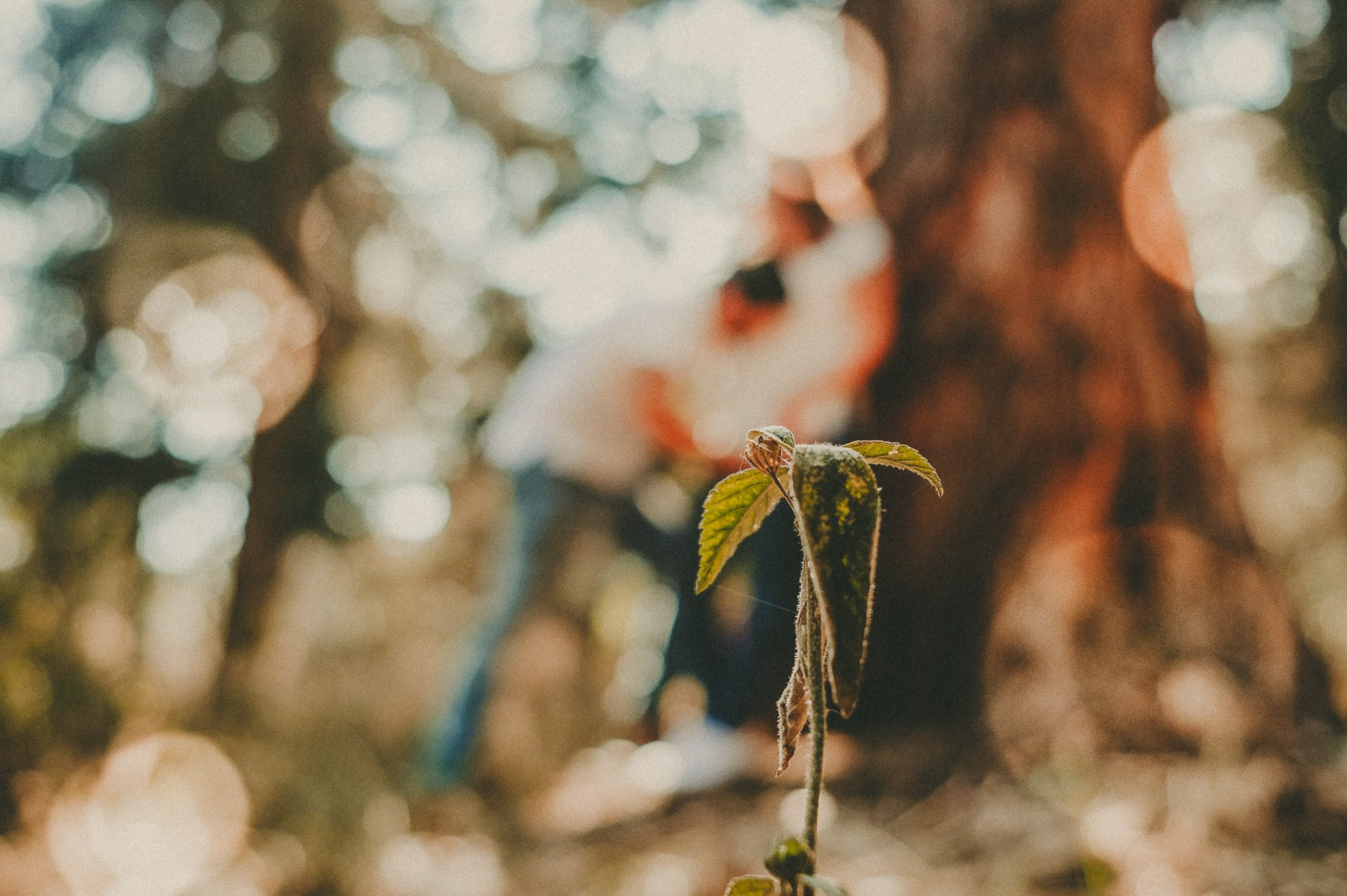 Ximena. Wedding and family photographer in Mexico City
